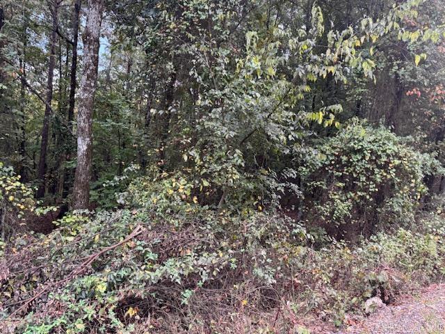 000 Perkins Property Photo 4