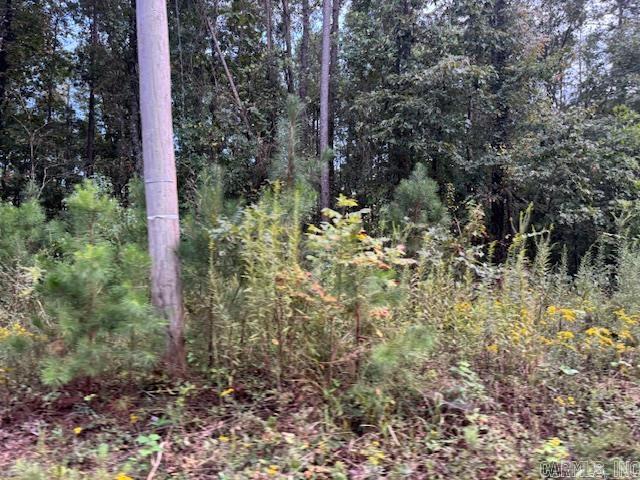 000 Perkins Property Photo 5