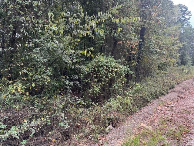 000 Perkins Property Photo 7