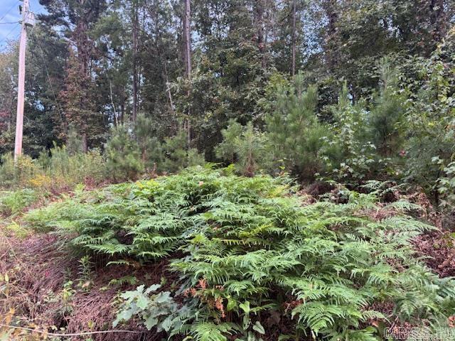 000 Perkins Property Photo 8