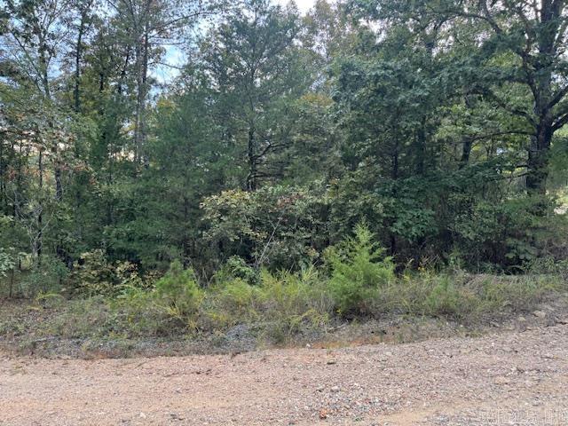 000 Perkins Property Photo 10