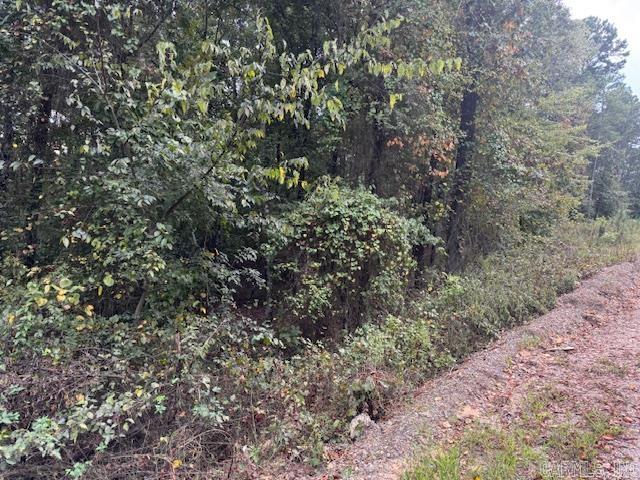 000 Perkins Property Photo 11