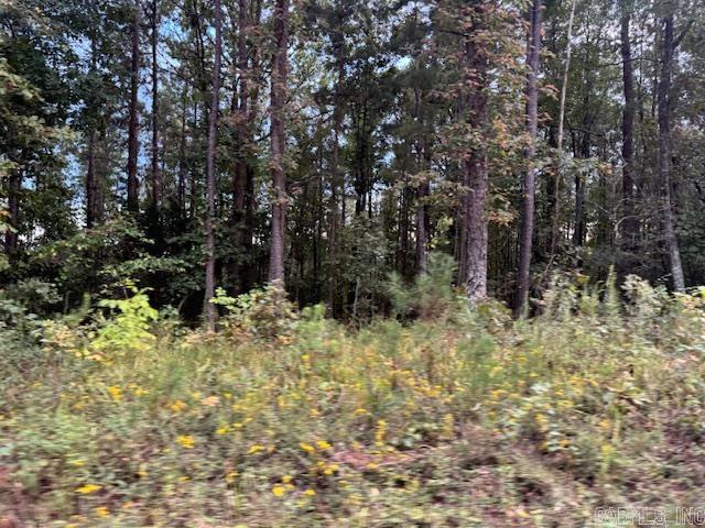 000 Perkins Property Photo 12