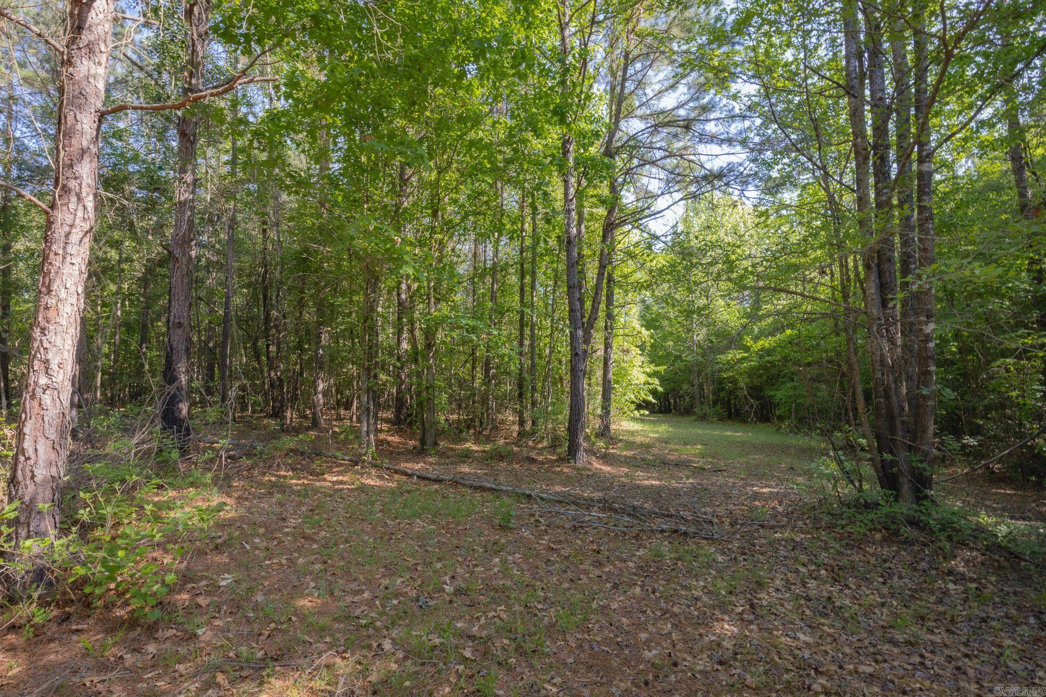 0 County Rd 8 Property Photo 14