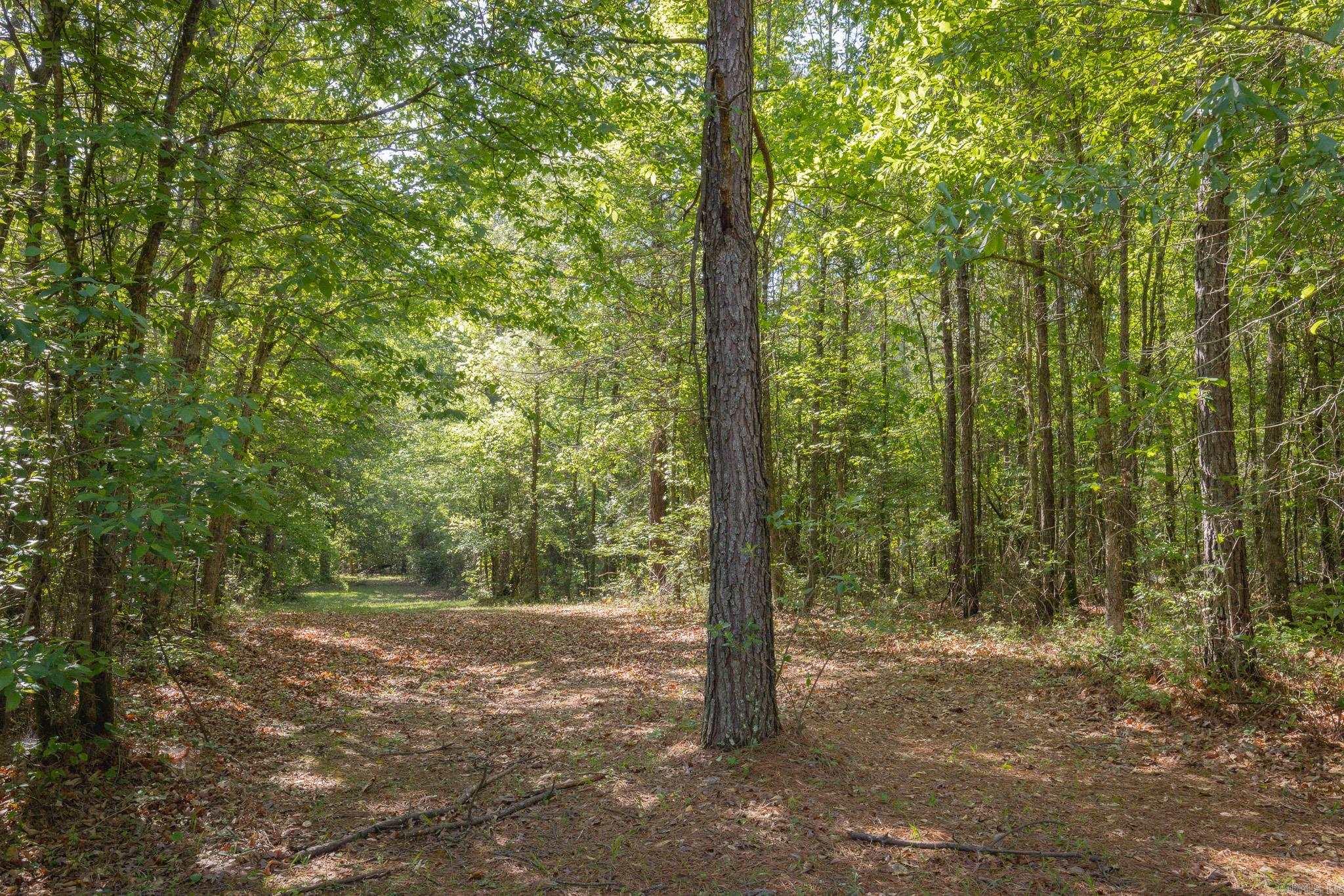 0 County Rd 8 Property Photo 16
