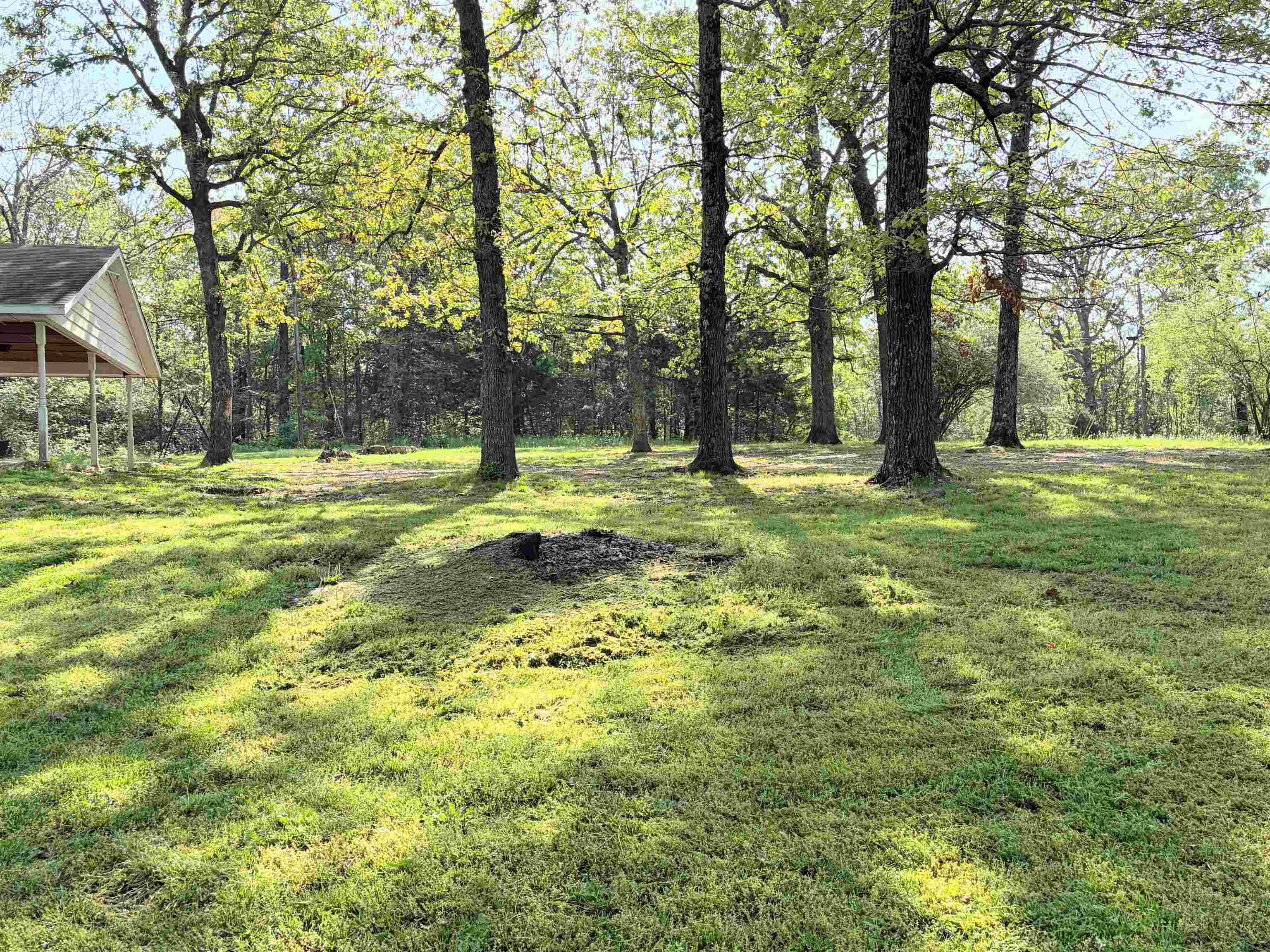 1302 Orchard Lane Property Photo 4