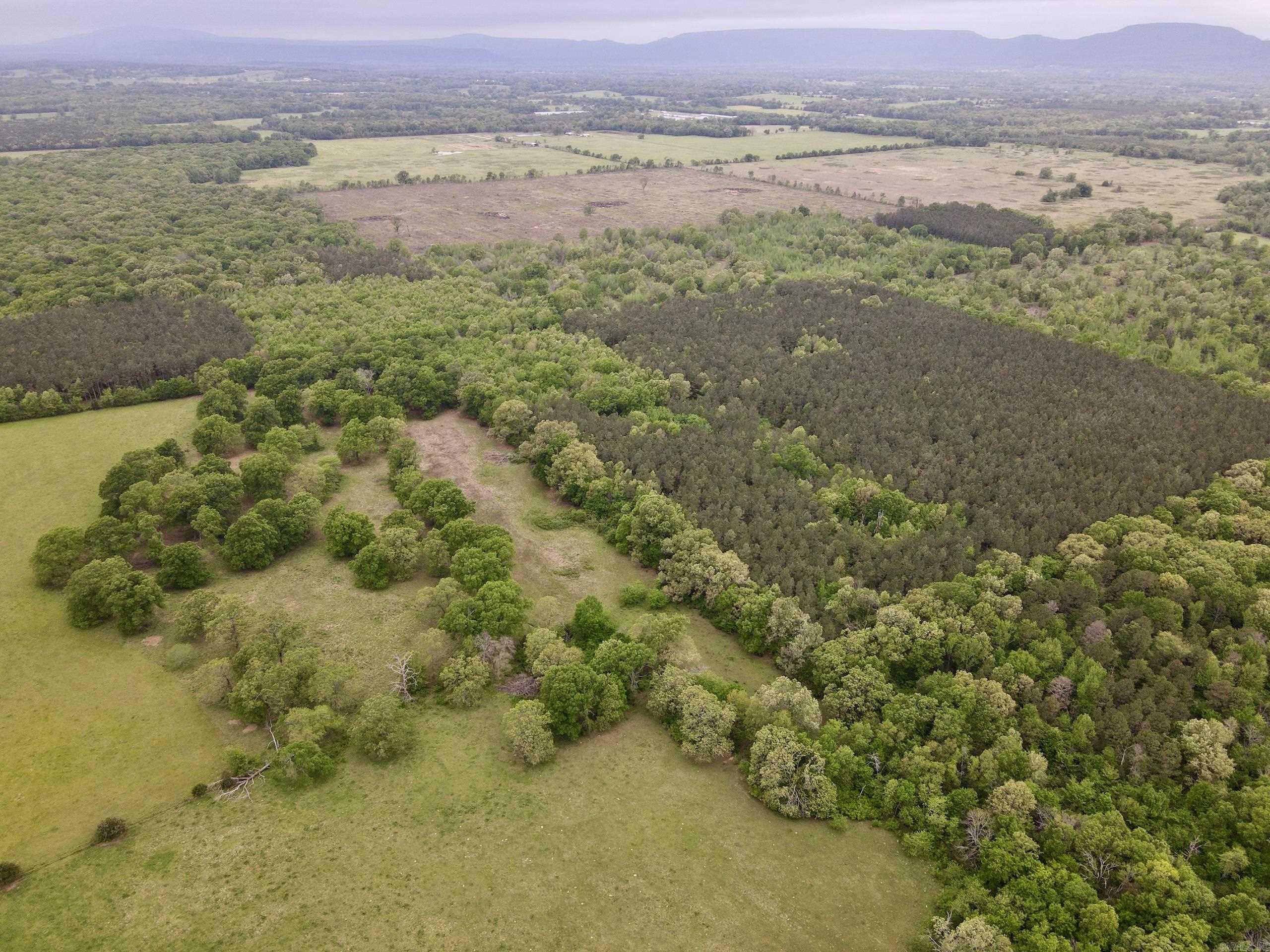 000 Drag Strip Road Property Photo 2