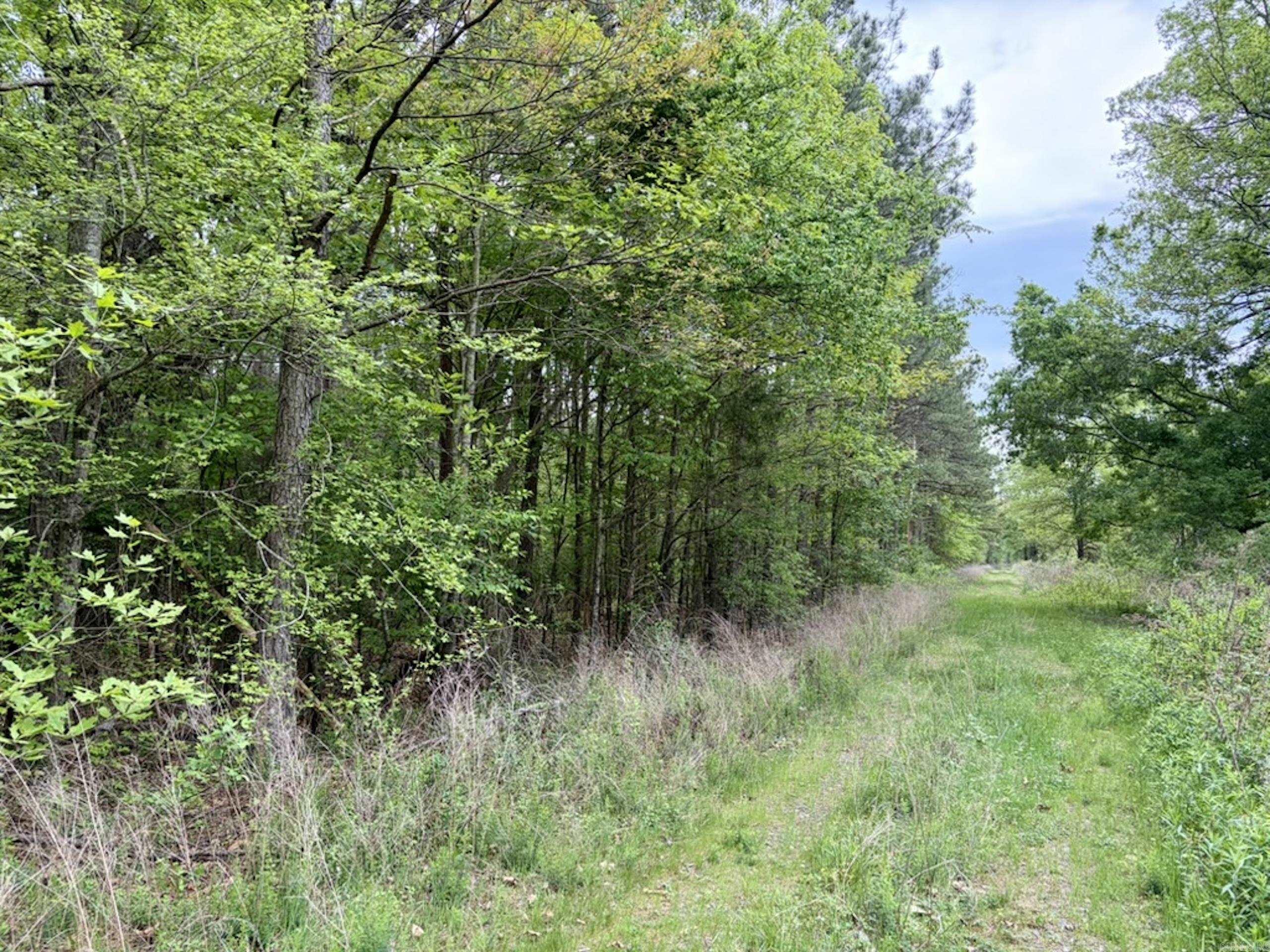 000 Drag Strip Road Property Photo 7