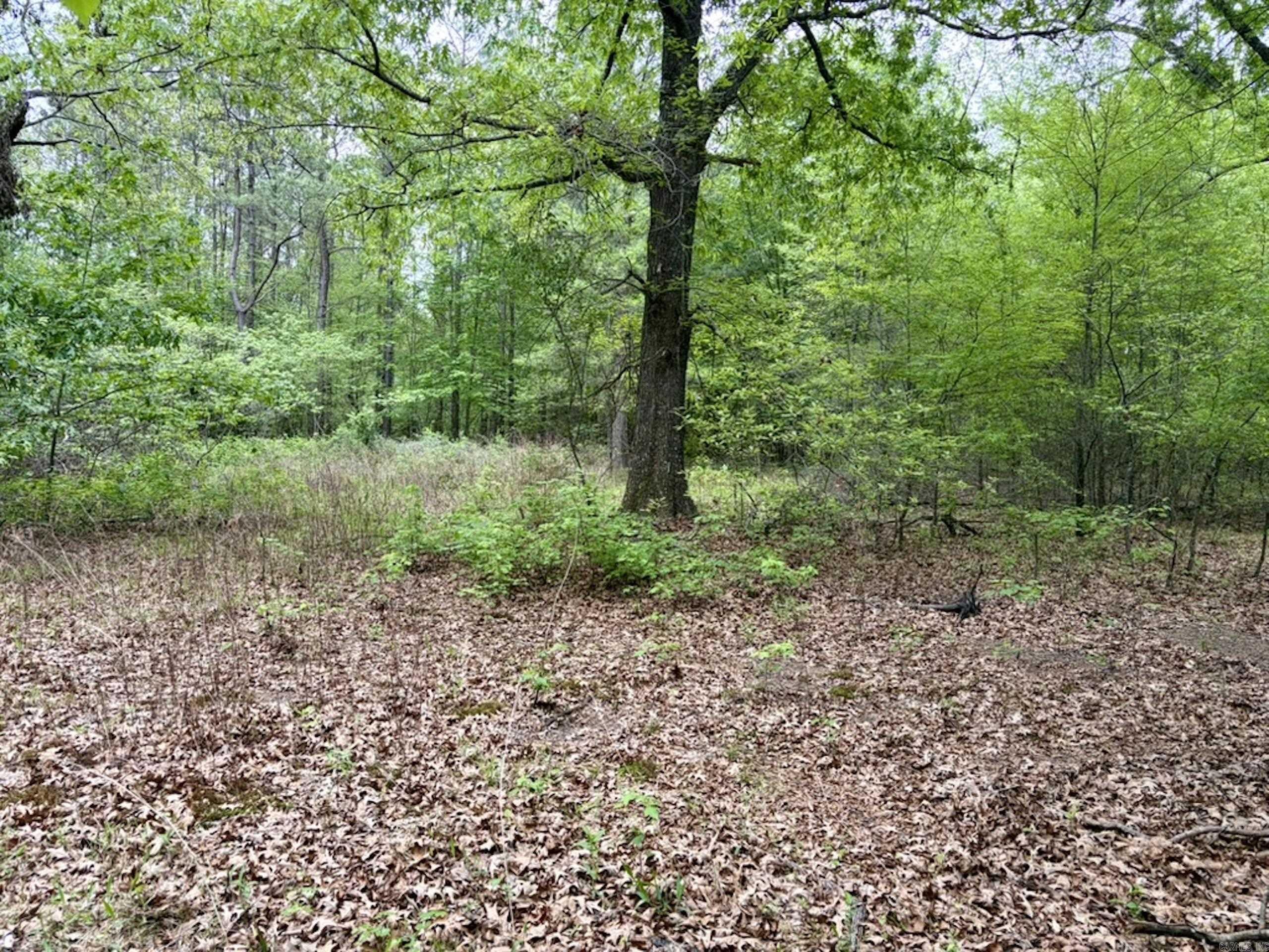 000 Drag Strip Road Property Photo 11