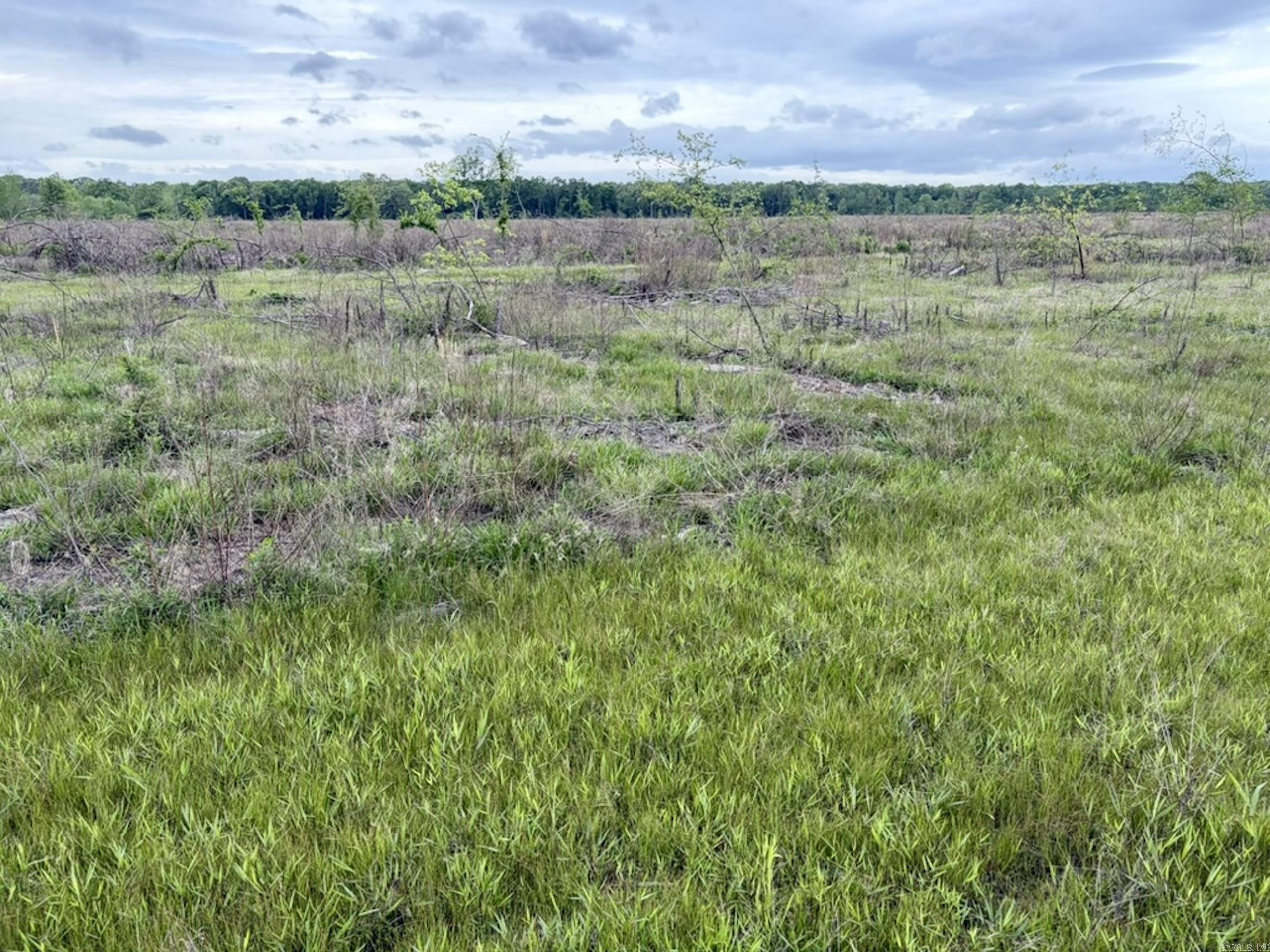 000 Drag Strip Road Property Photo 15