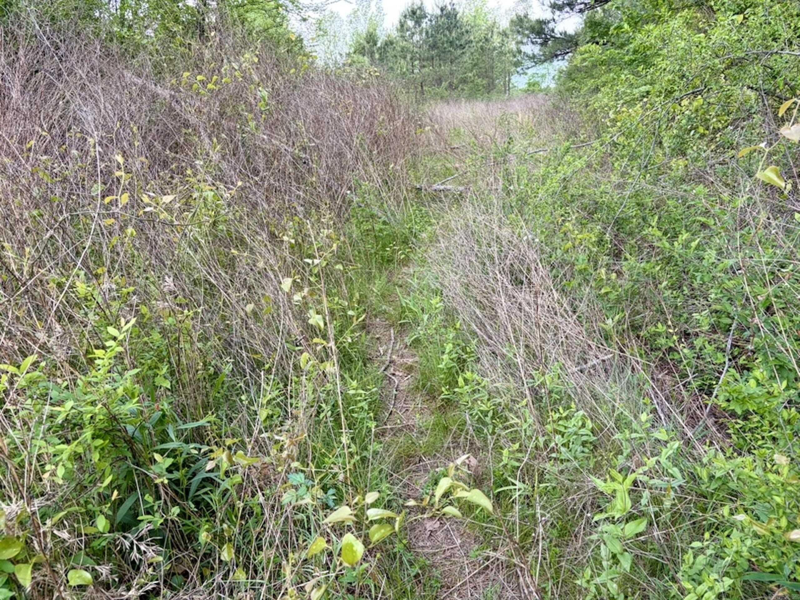000 Drag Strip Road Property Photo 19
