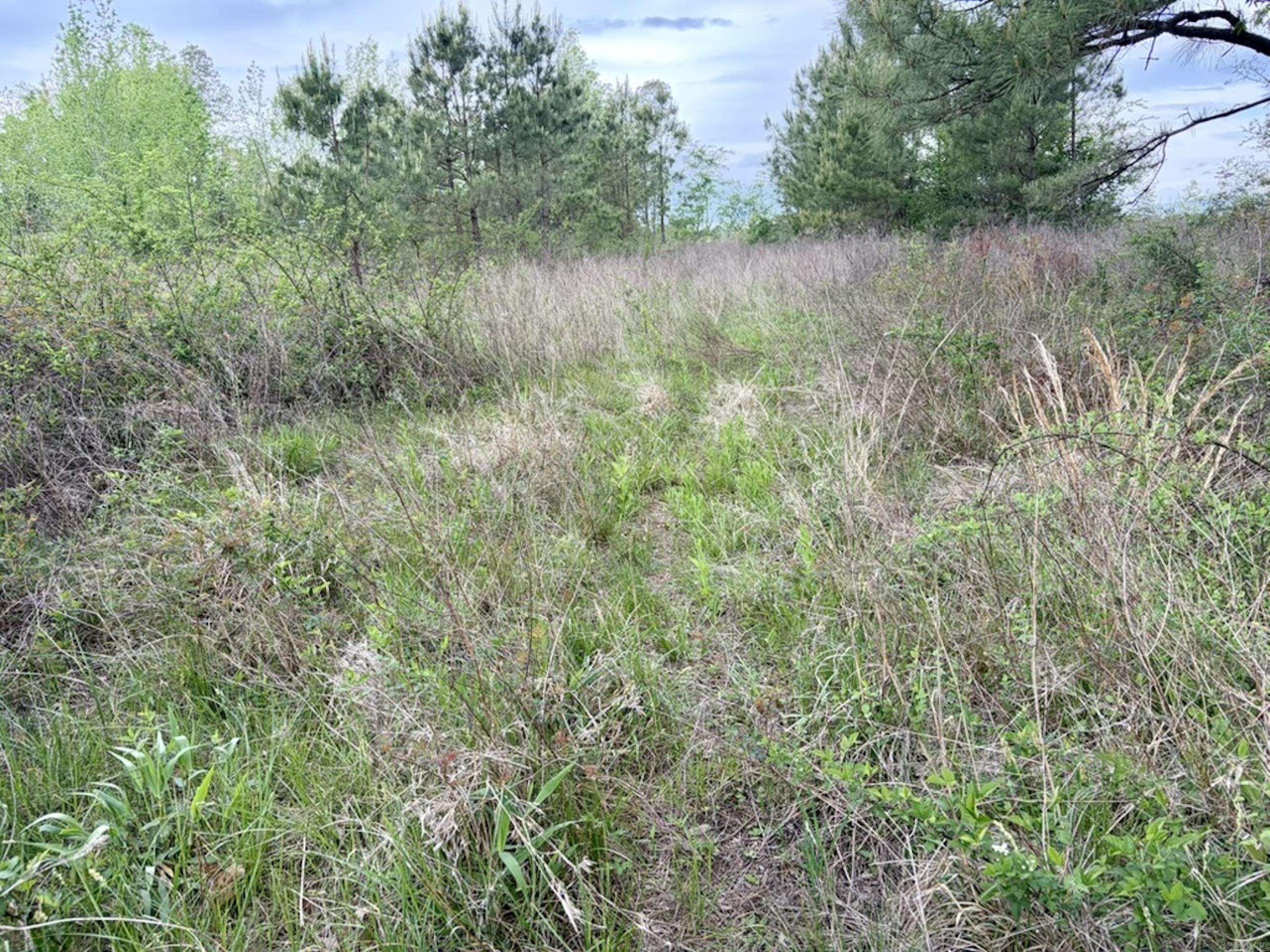 000 Drag Strip Road Property Photo 21