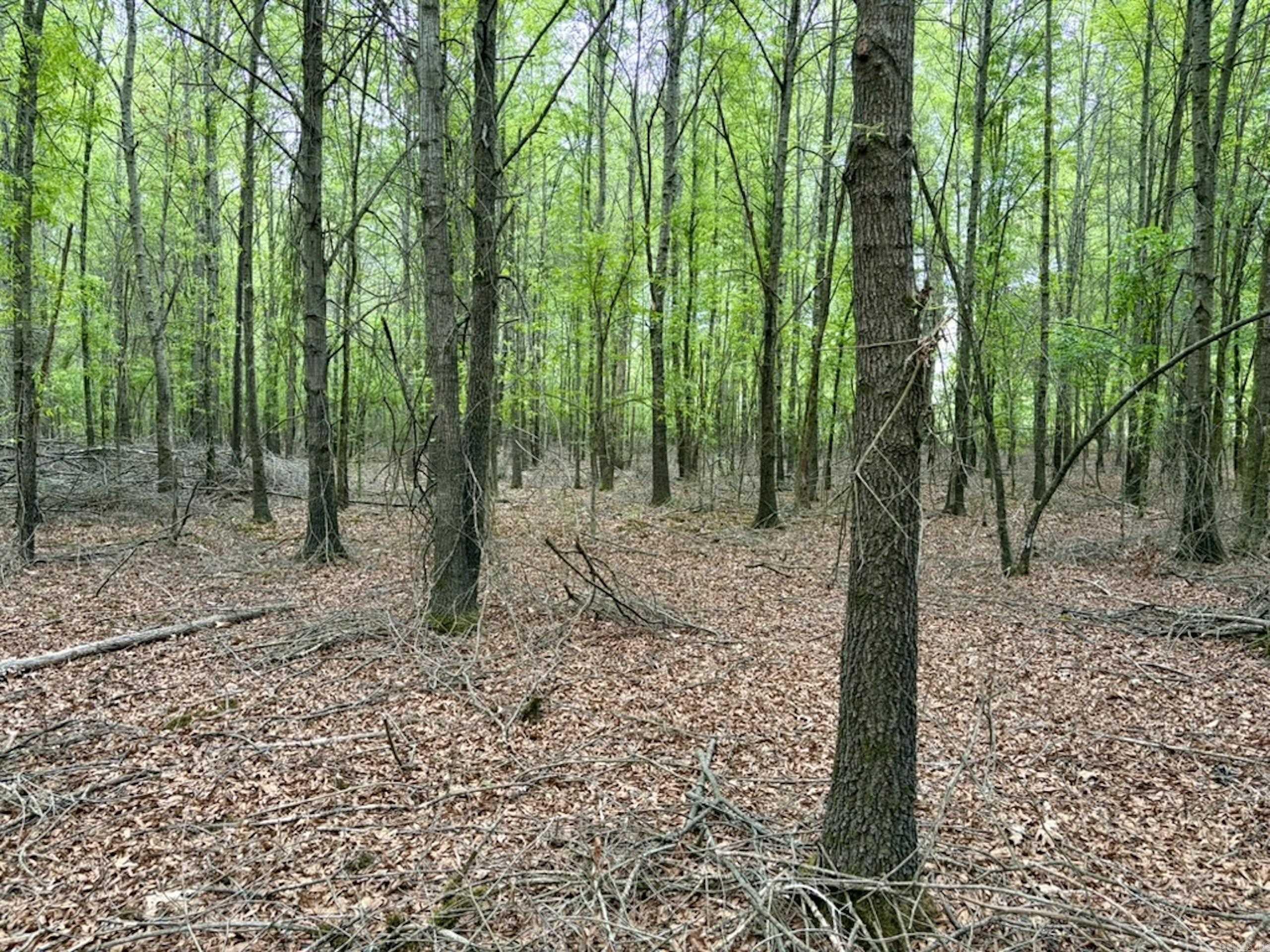 000 Drag Strip Road Property Photo 27