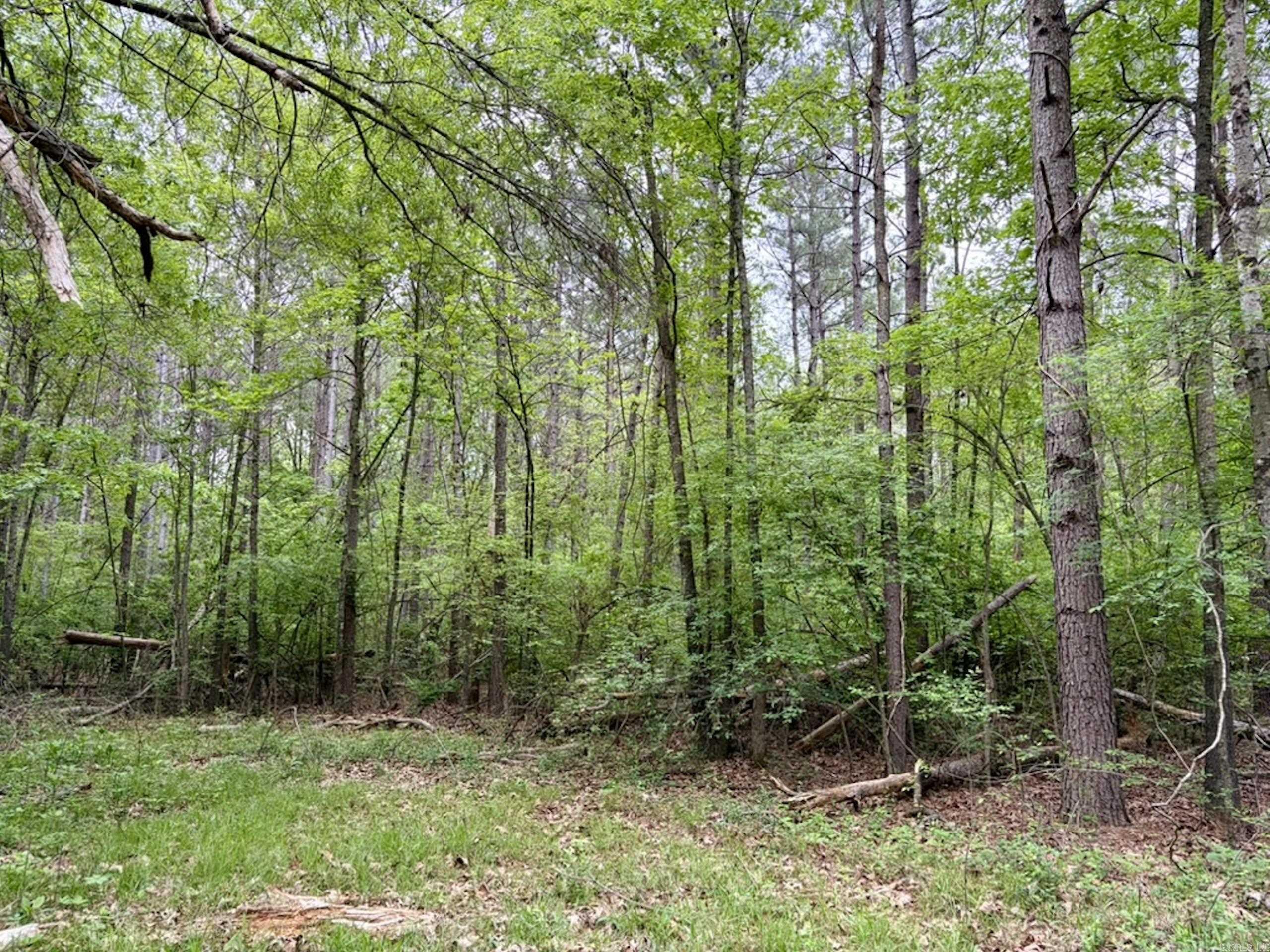 000 Drag Strip Road Property Photo 29