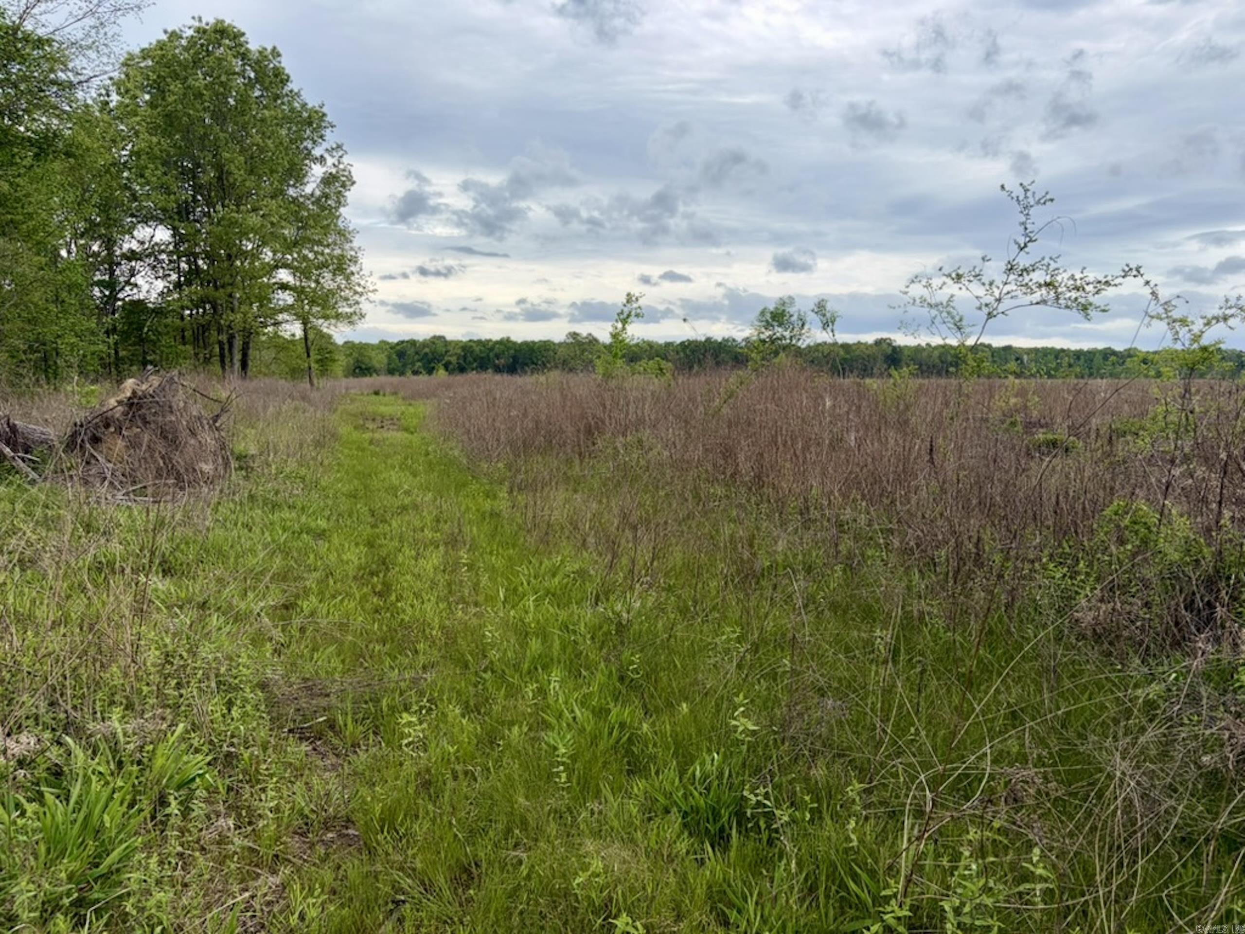 000 Drag Strip Road Property Photo 31