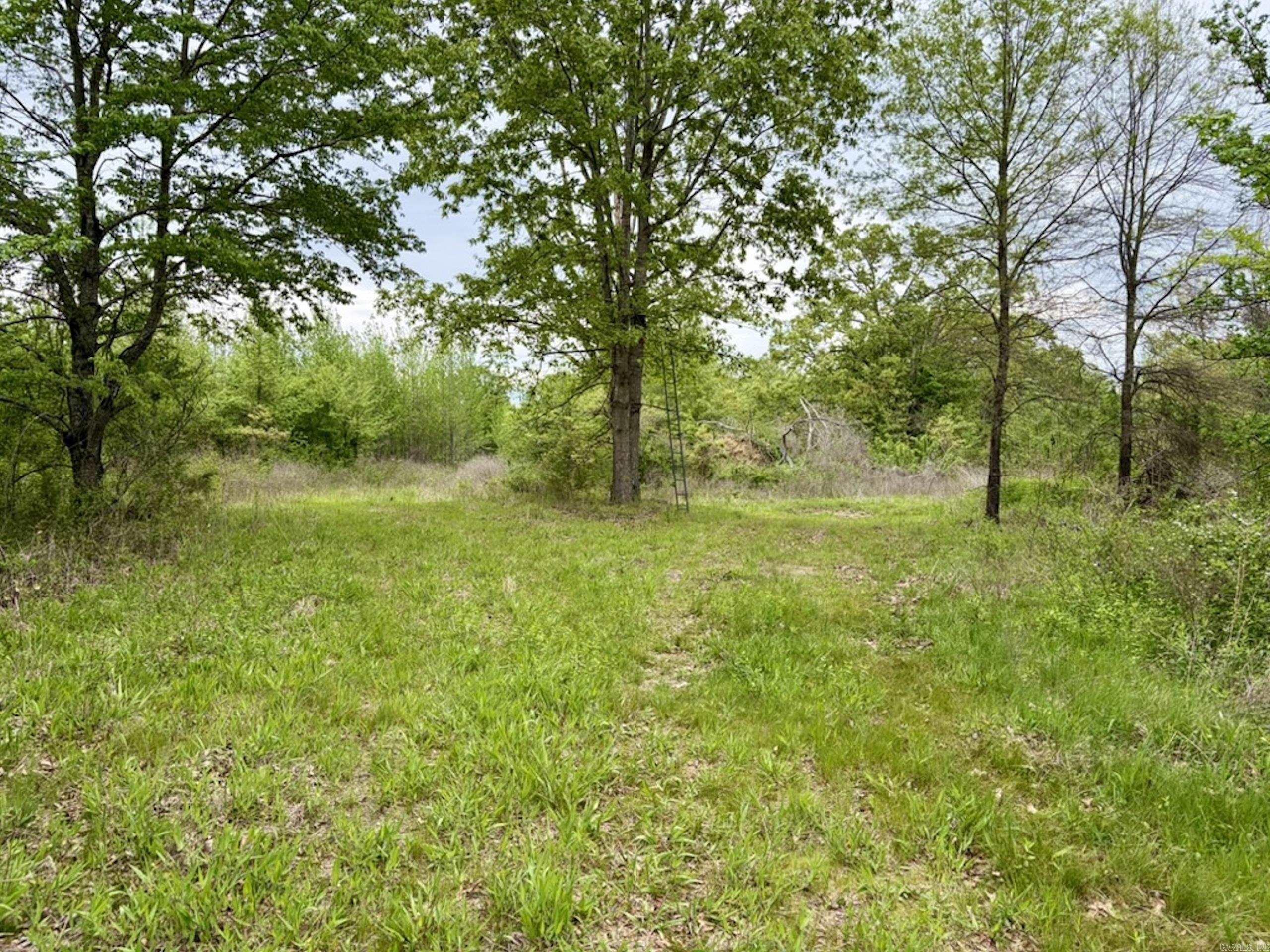 000 Drag Strip Road Property Photo 32