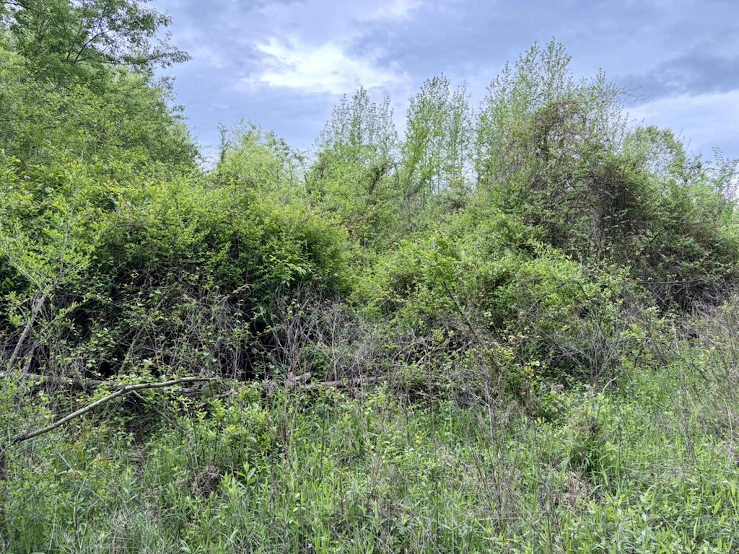 000 Drag Strip Road Property Photo 33