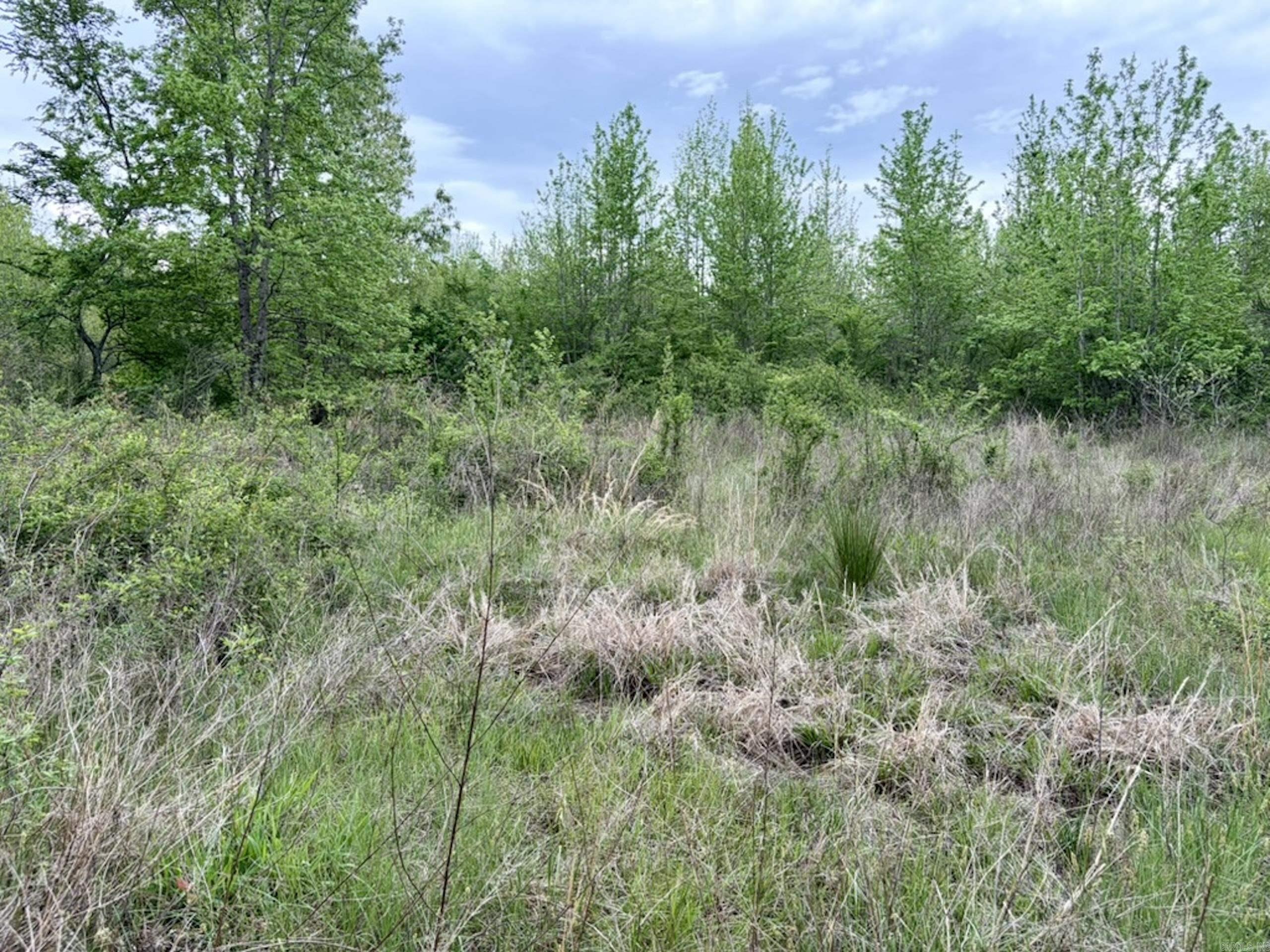 000 Drag Strip Road Property Photo 35