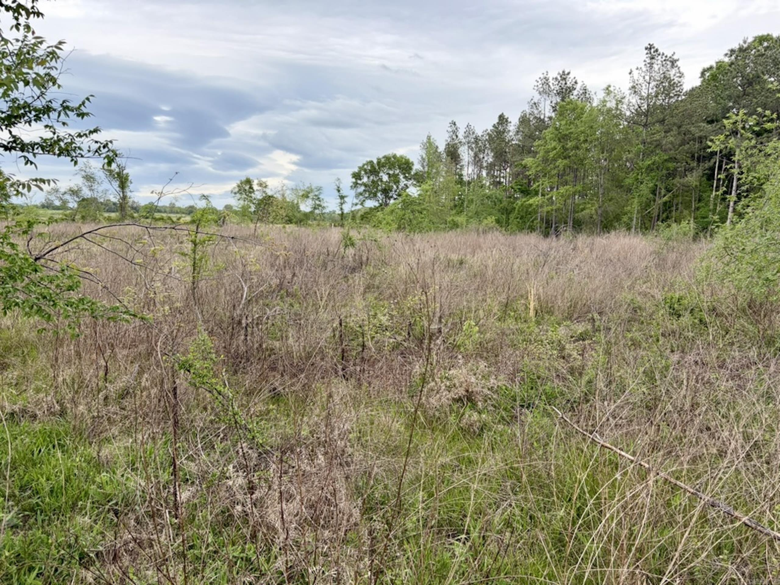 000 Drag Strip Road Property Photo 37