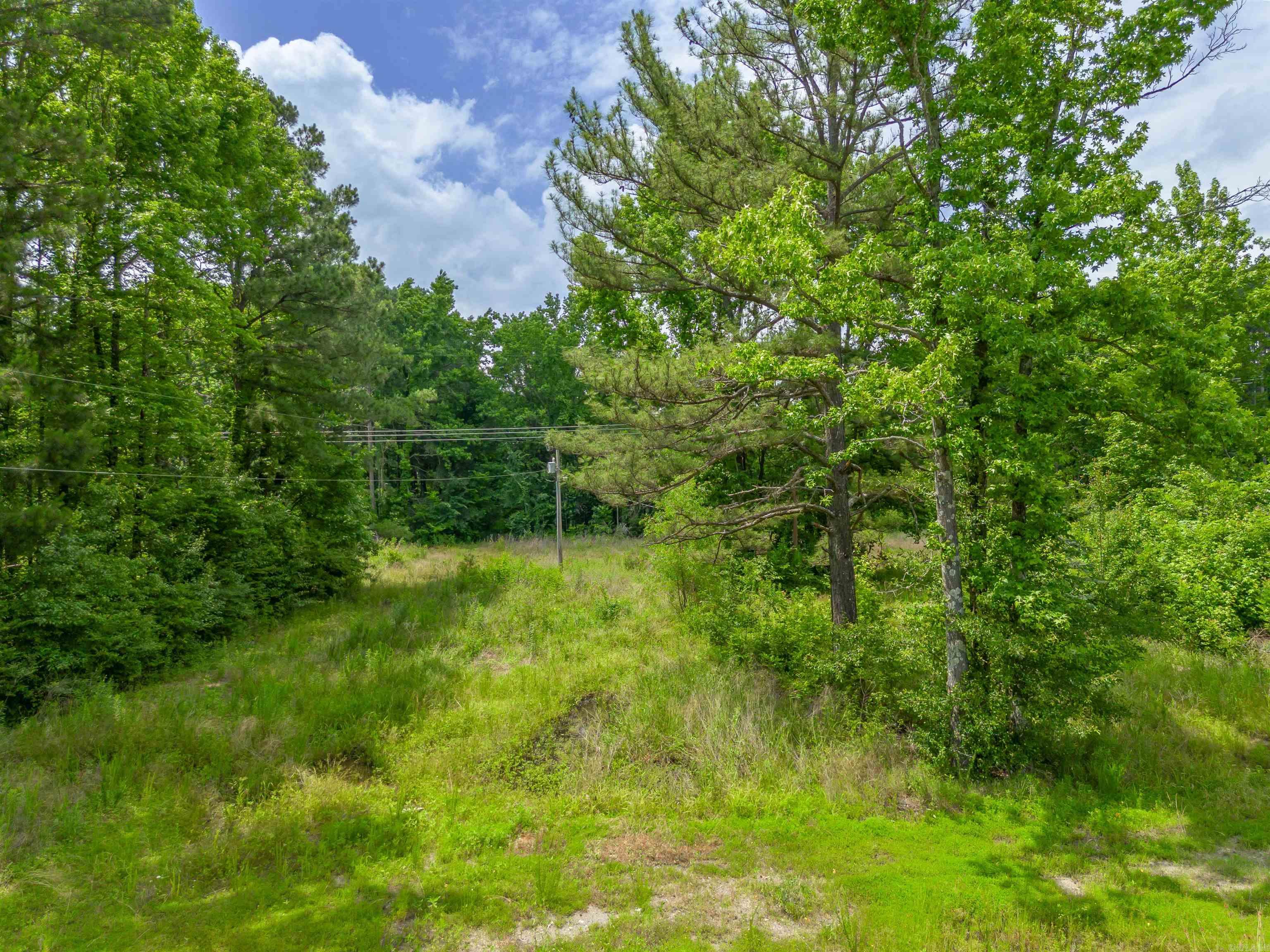 6184 & 6188 Highway 367 Property Photo 16