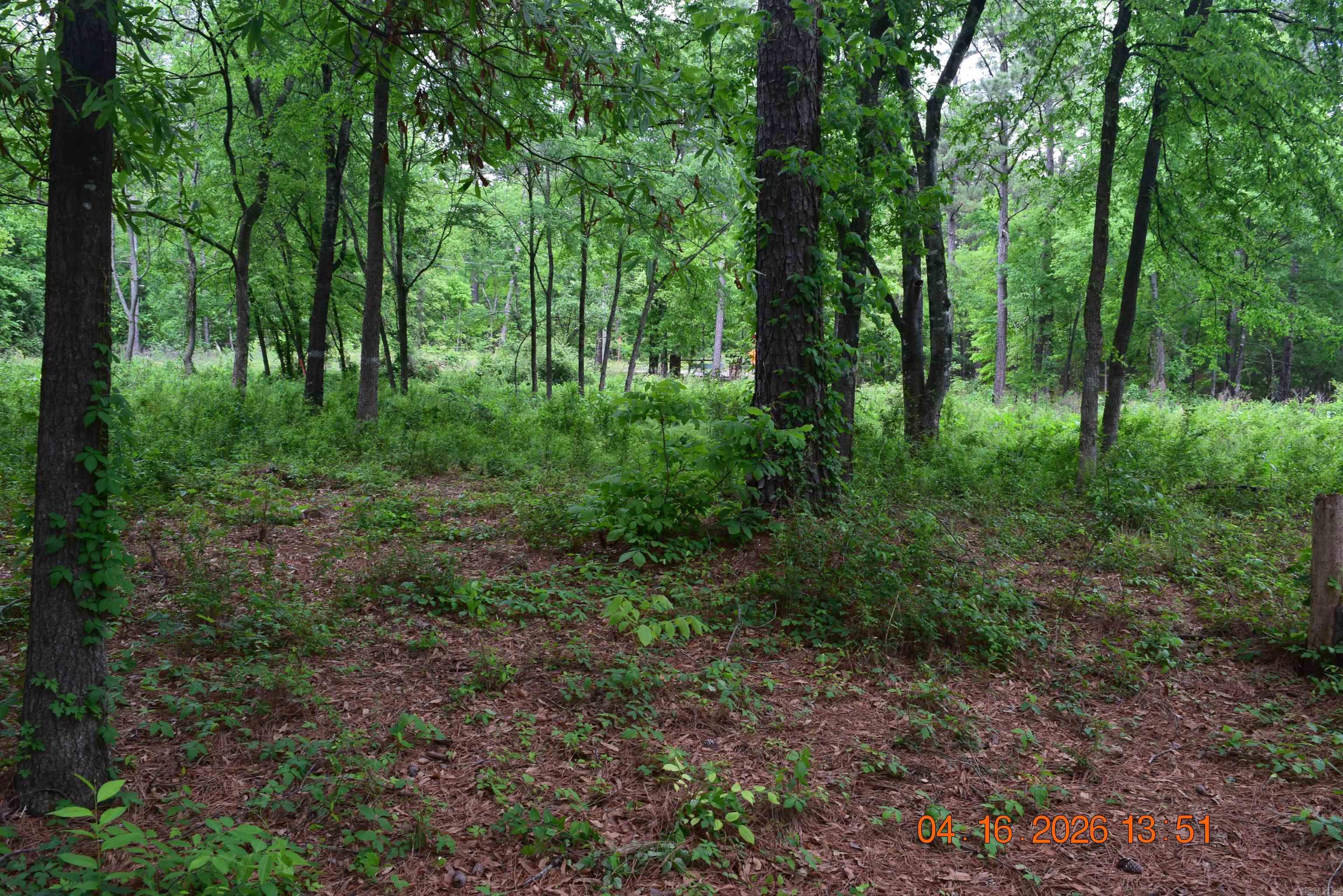 Xxx Big Duke Property Photo 6