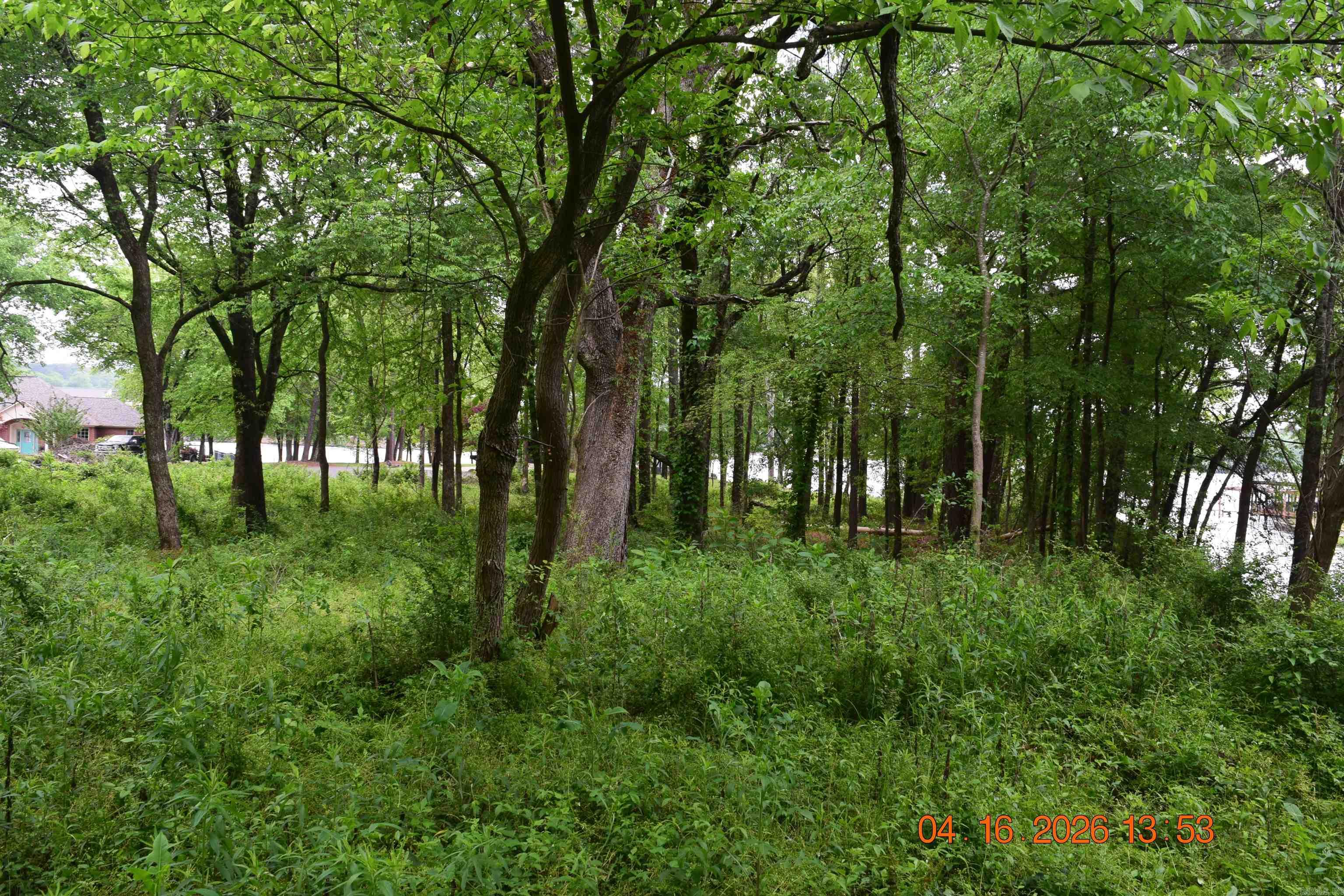Xxx Big Duke Property Photo 10