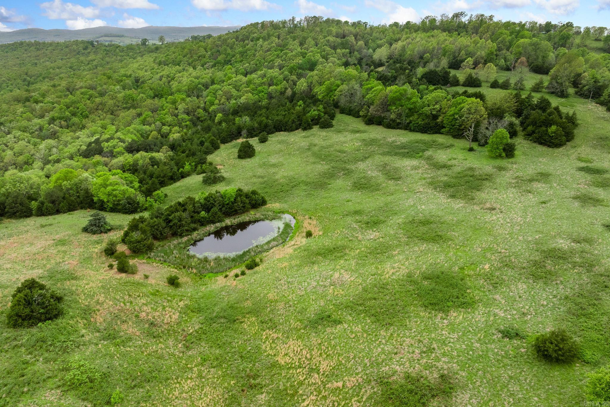 26015368 Property Photo 49