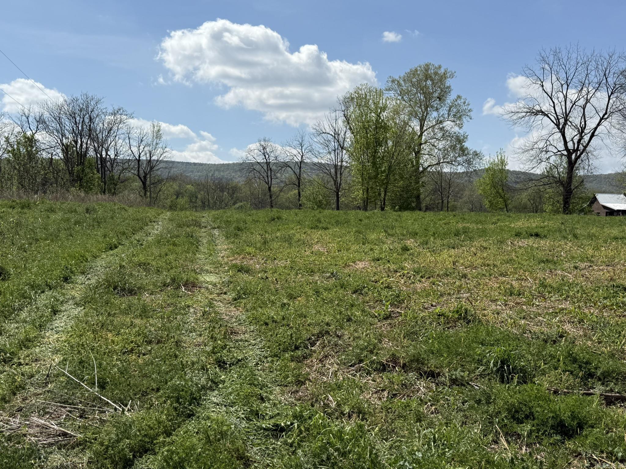000 Kate Lane Property Photo 34