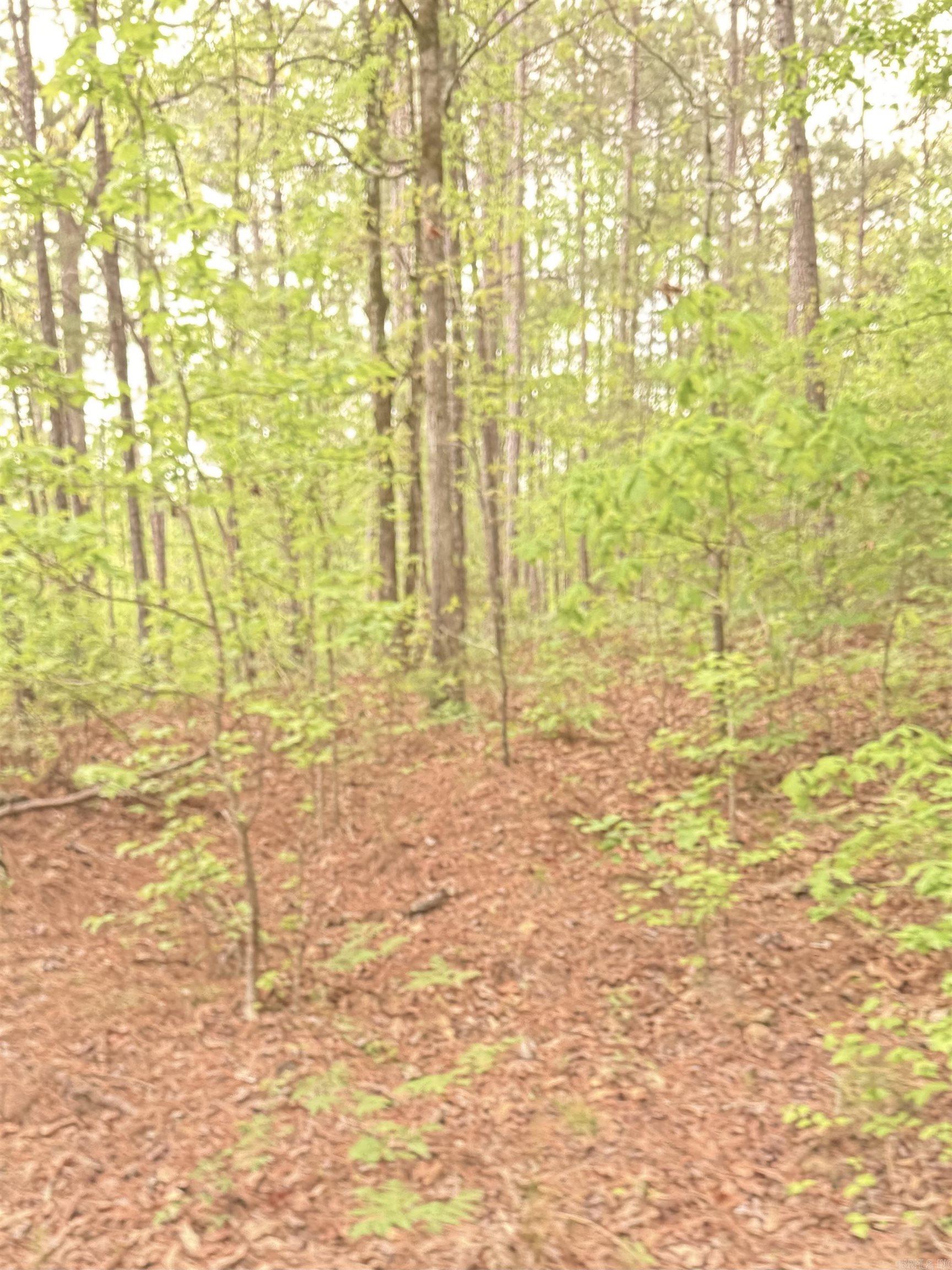 Vacant Land Doubloon Circle Property Photo 7