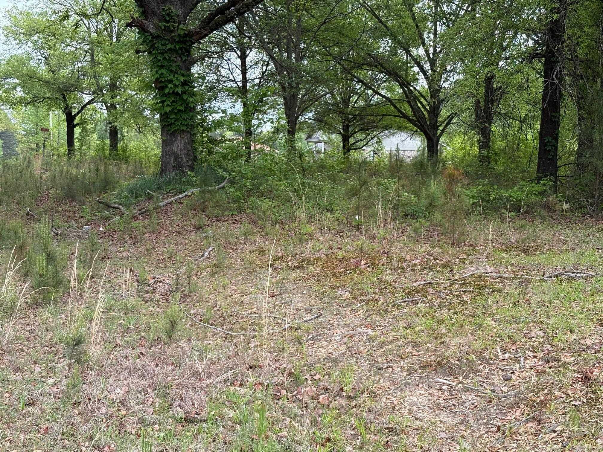 10608 Princeton Pike Property Photo 3