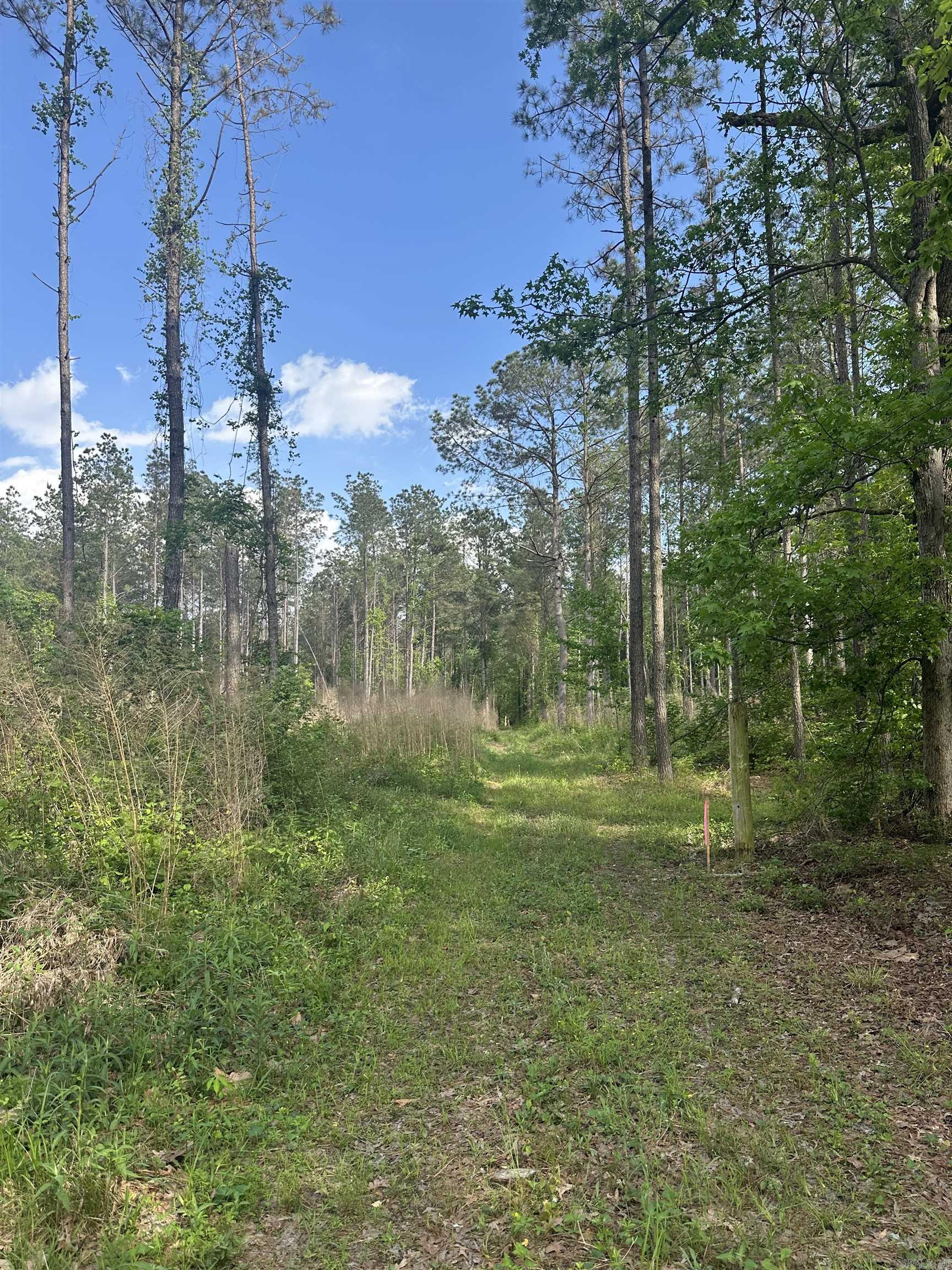 Hwy 67 Property Photo 1