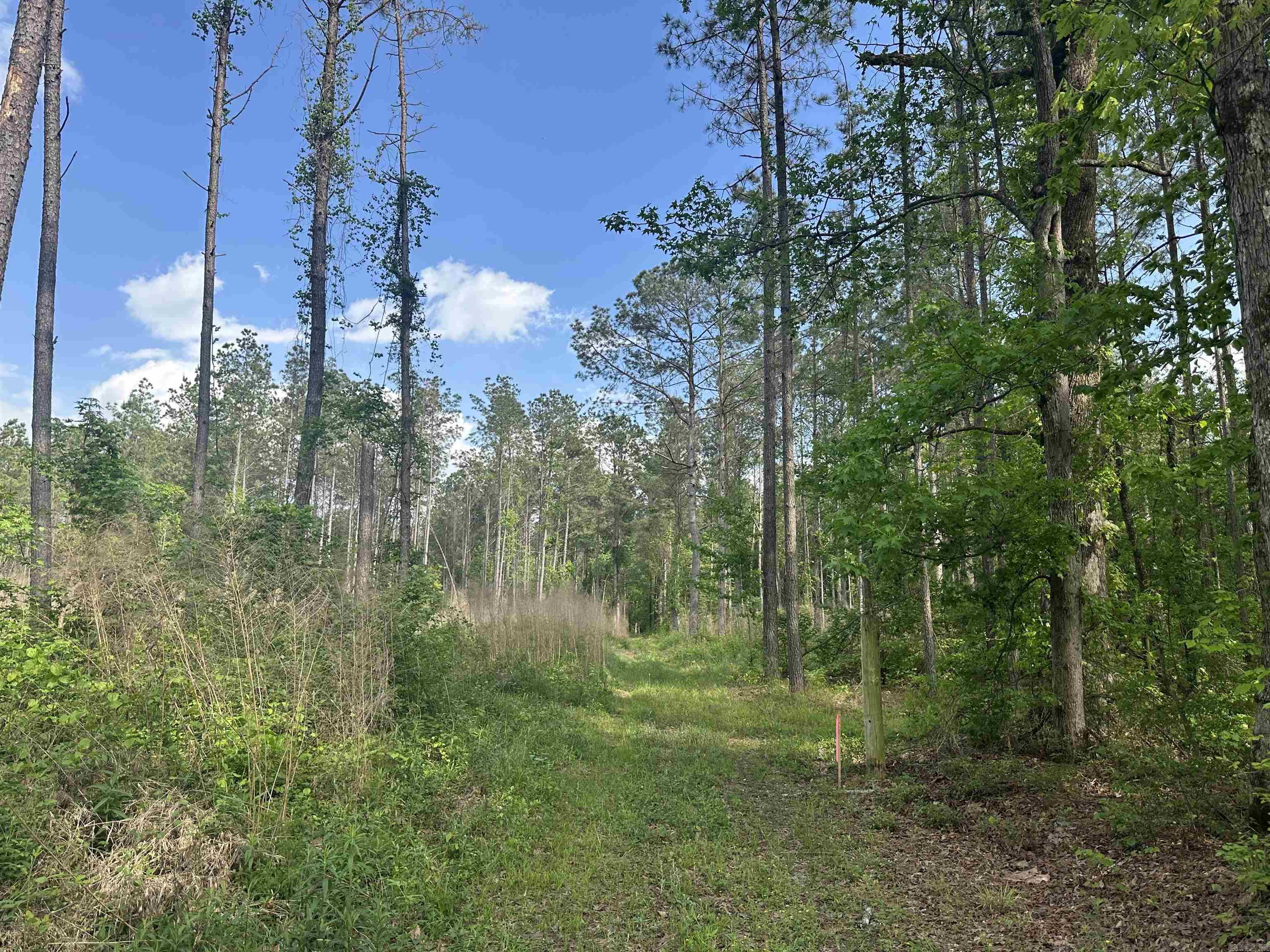 Hwy 67 Property Photo 2