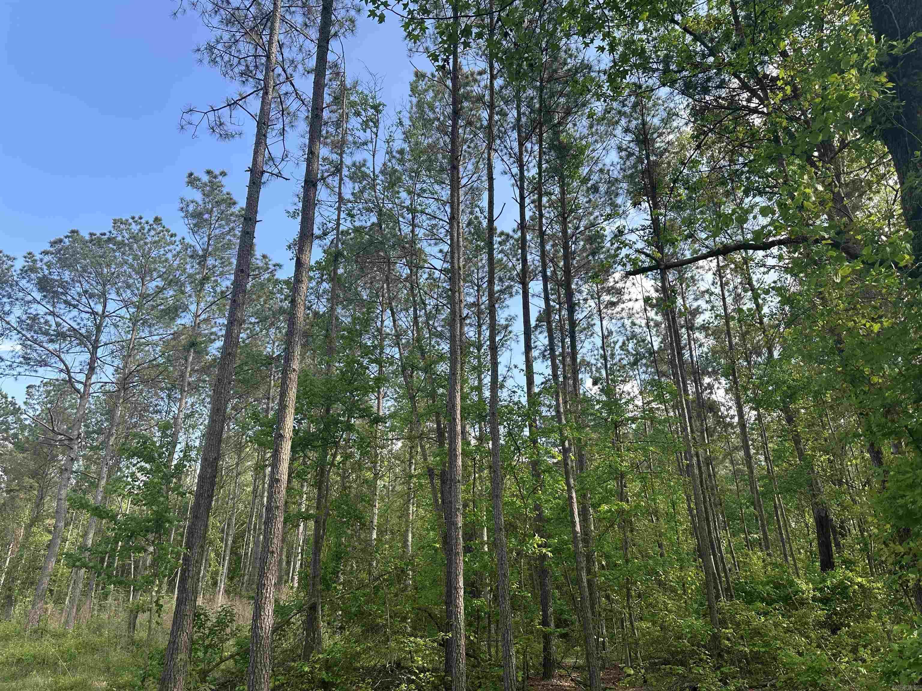 Hwy 67 Property Photo 3