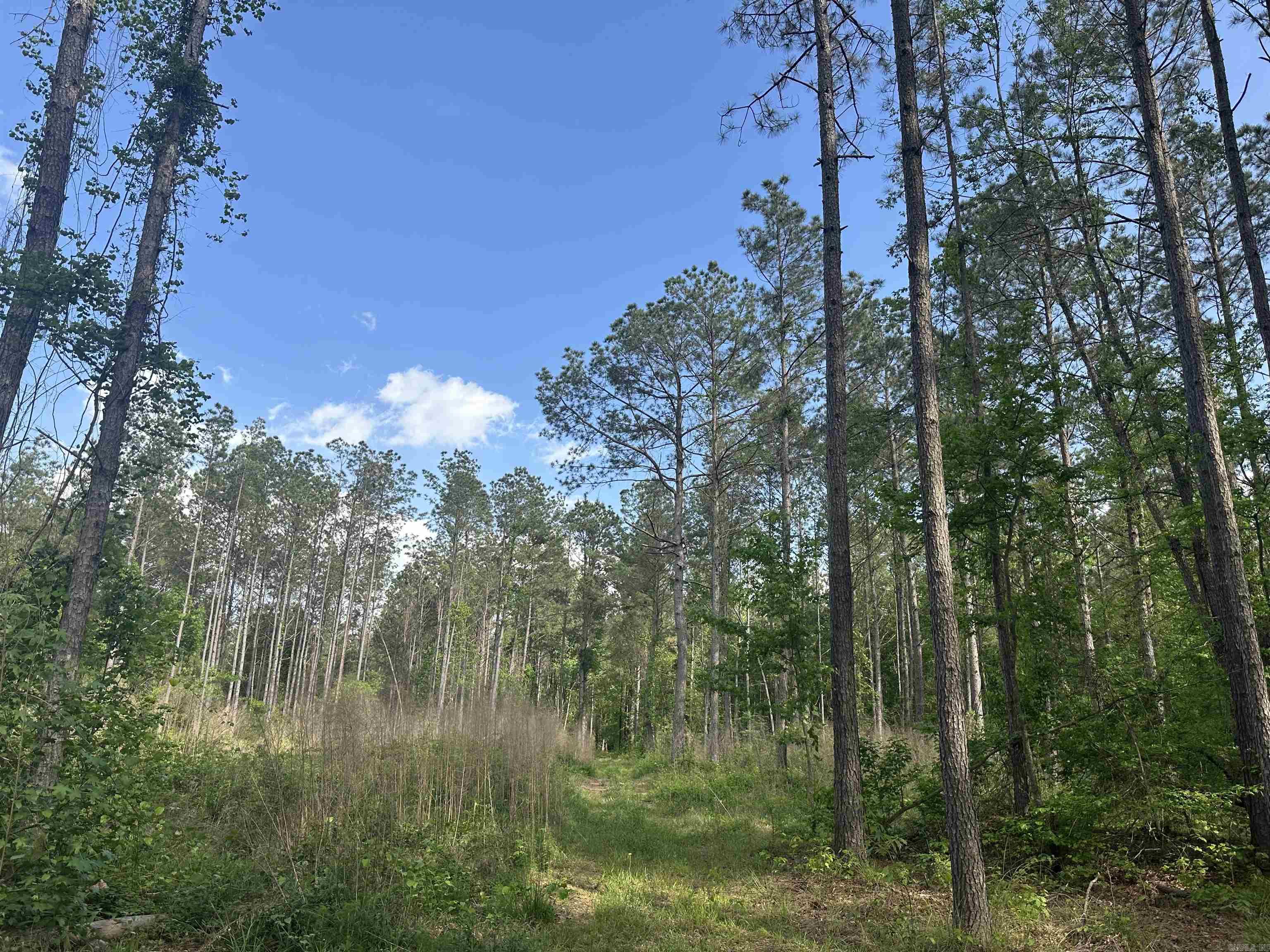 Hwy 67 Property Photo 4