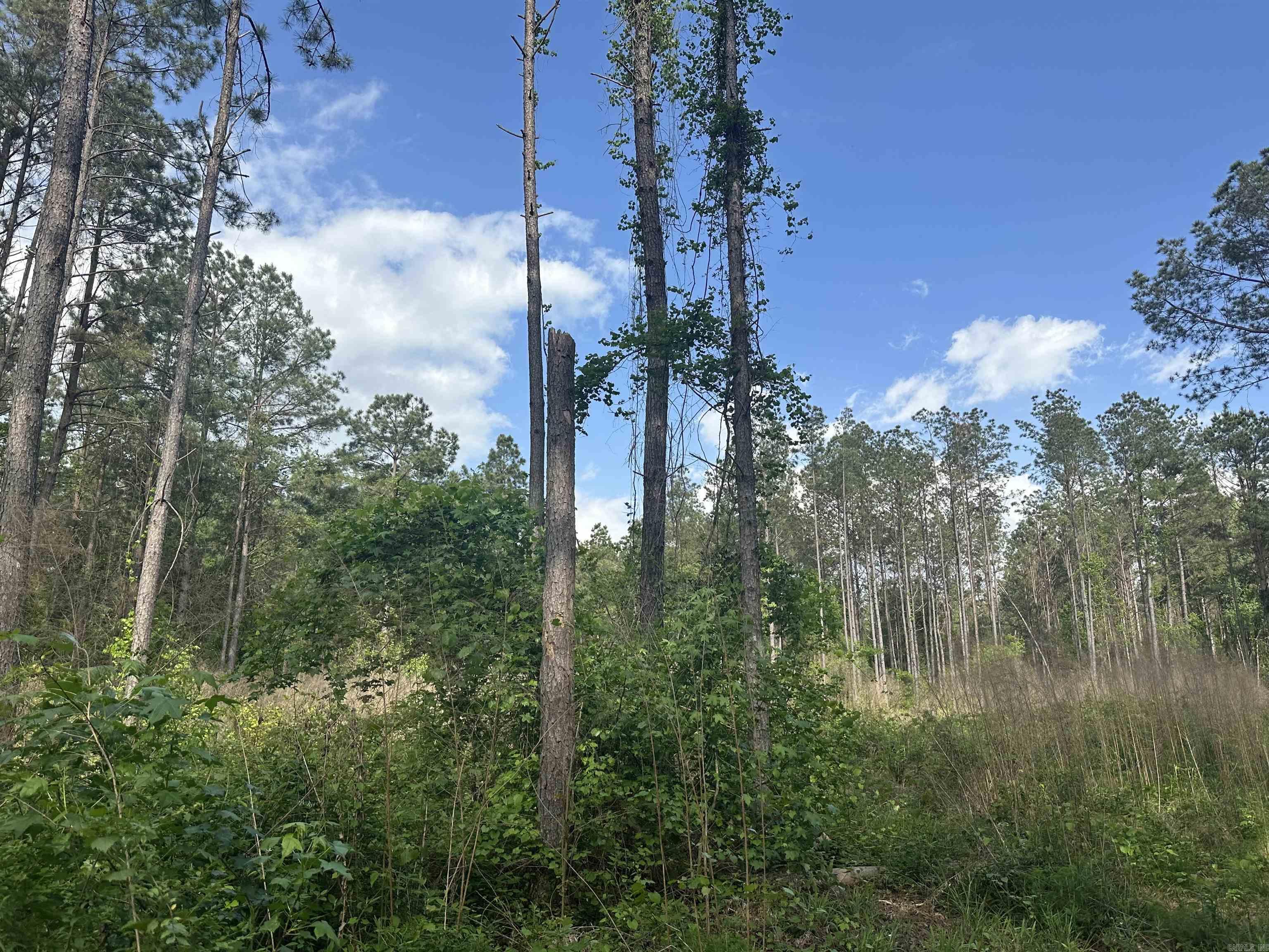 Hwy 67 Property Photo 5