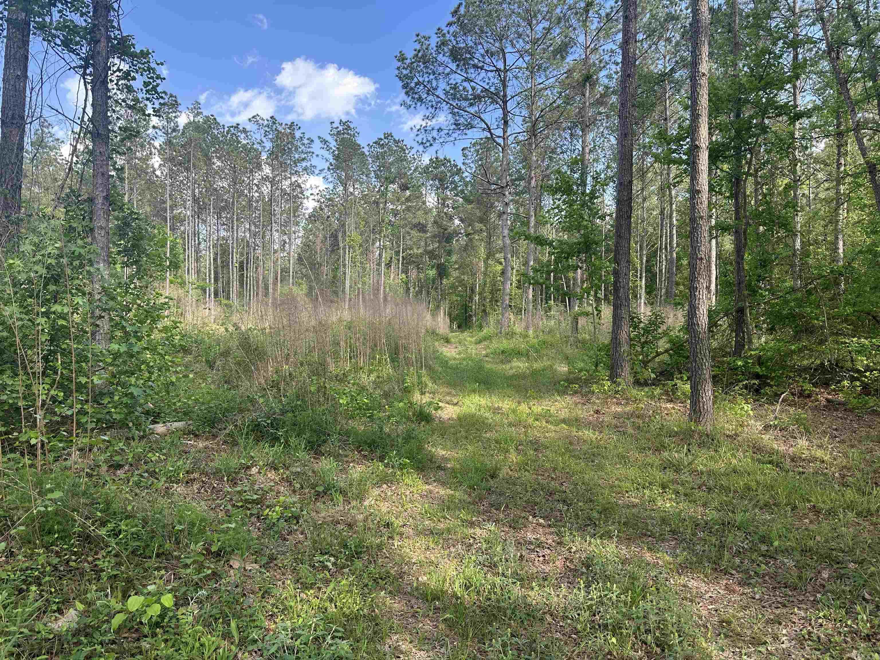 Hwy 67 Property Photo 6