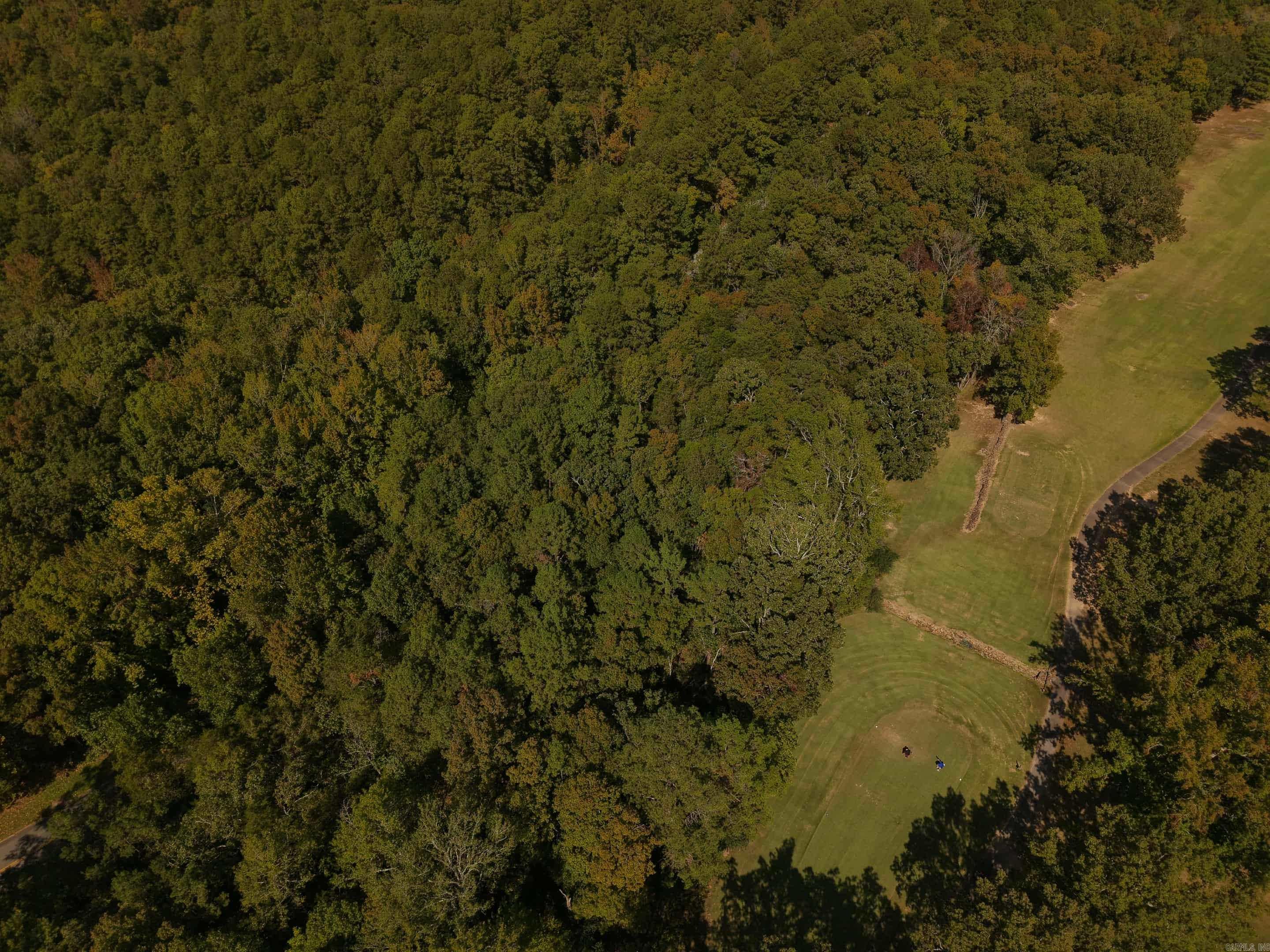 Lot 12, Block 2 Mountain Ranch Drive Property Photo 3