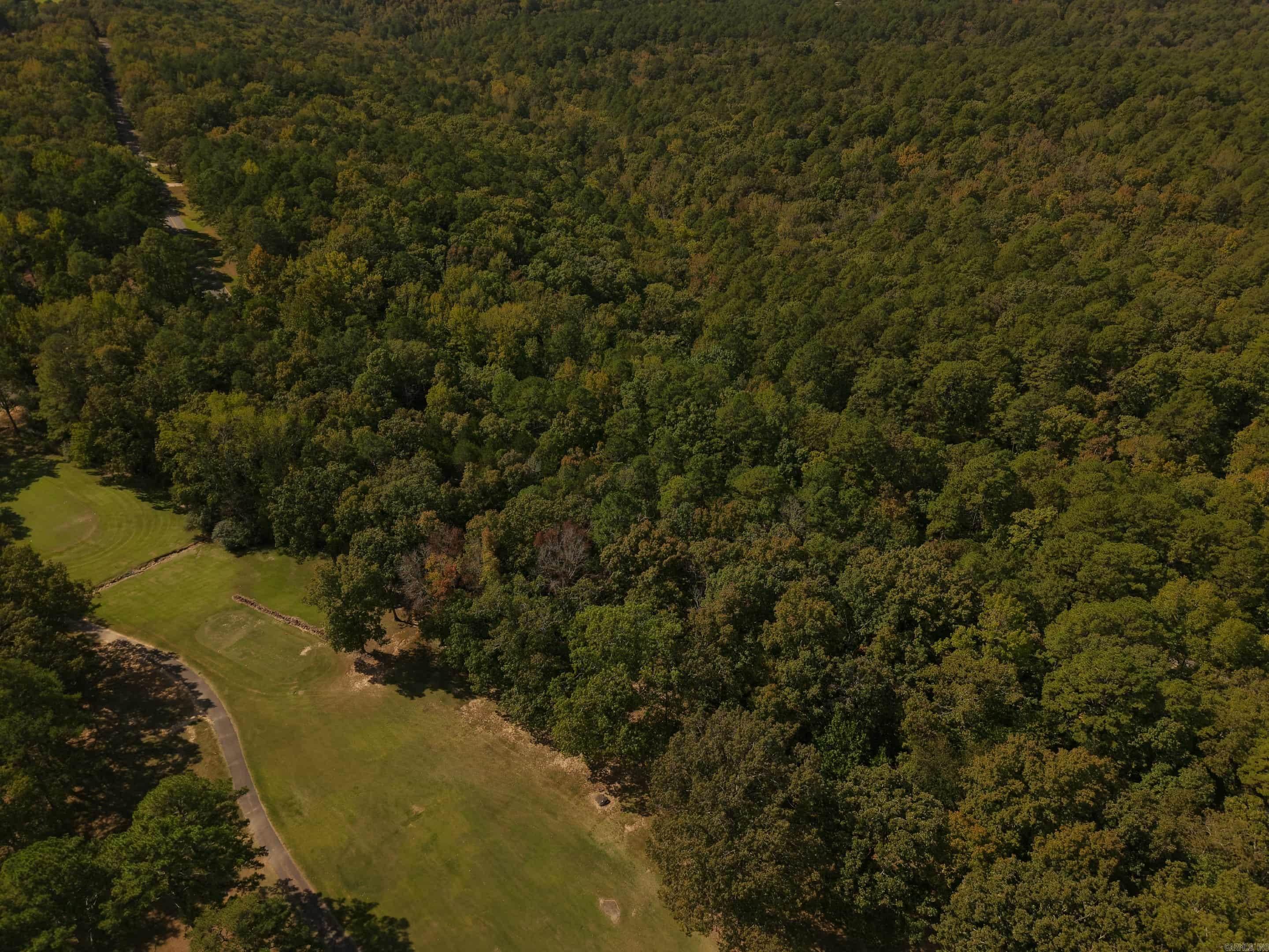 Lot 12, Block 2 Mountain Ranch Drive Property Photo 6