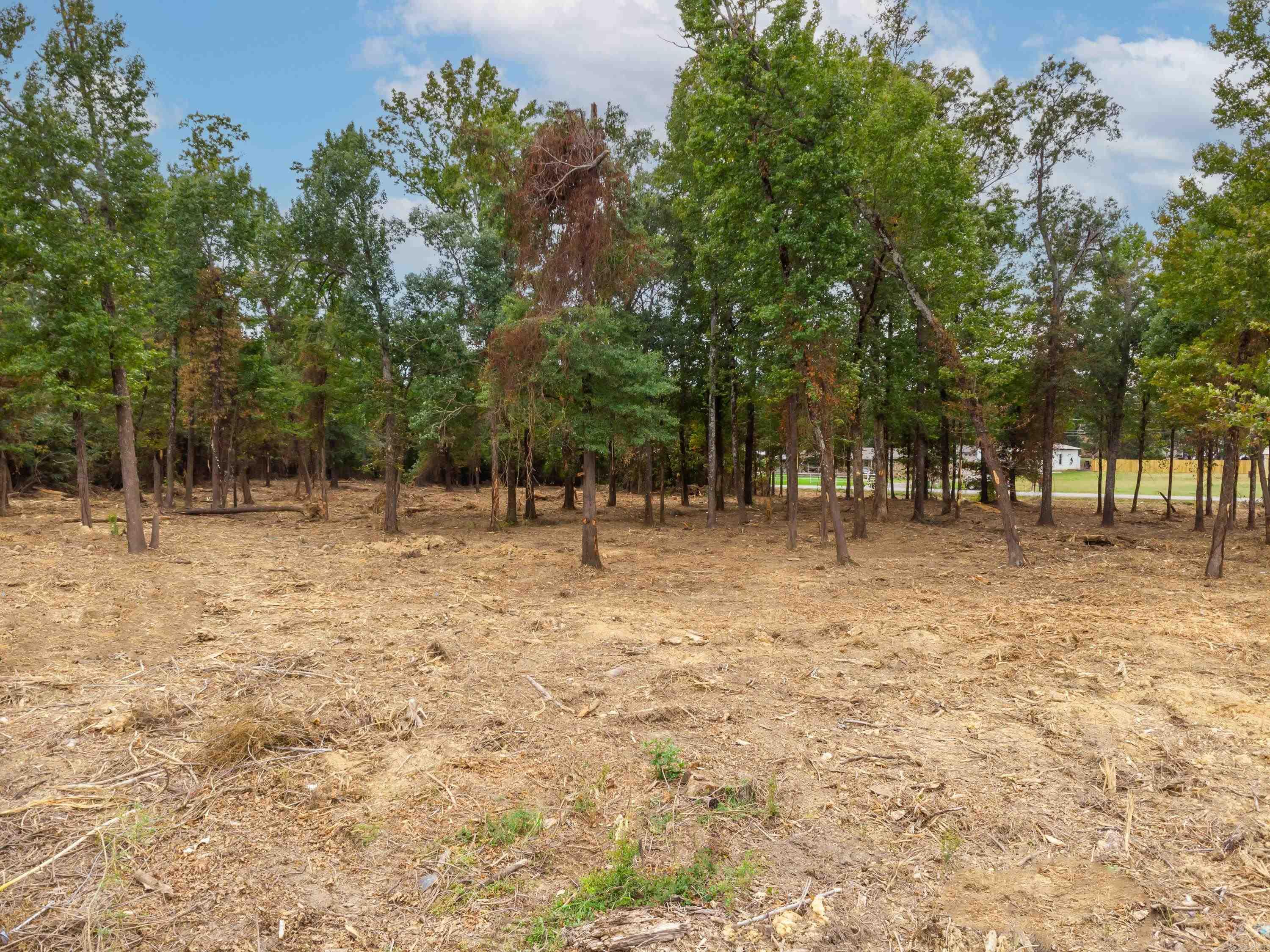 0 Hwy 365 N Property Photo 14