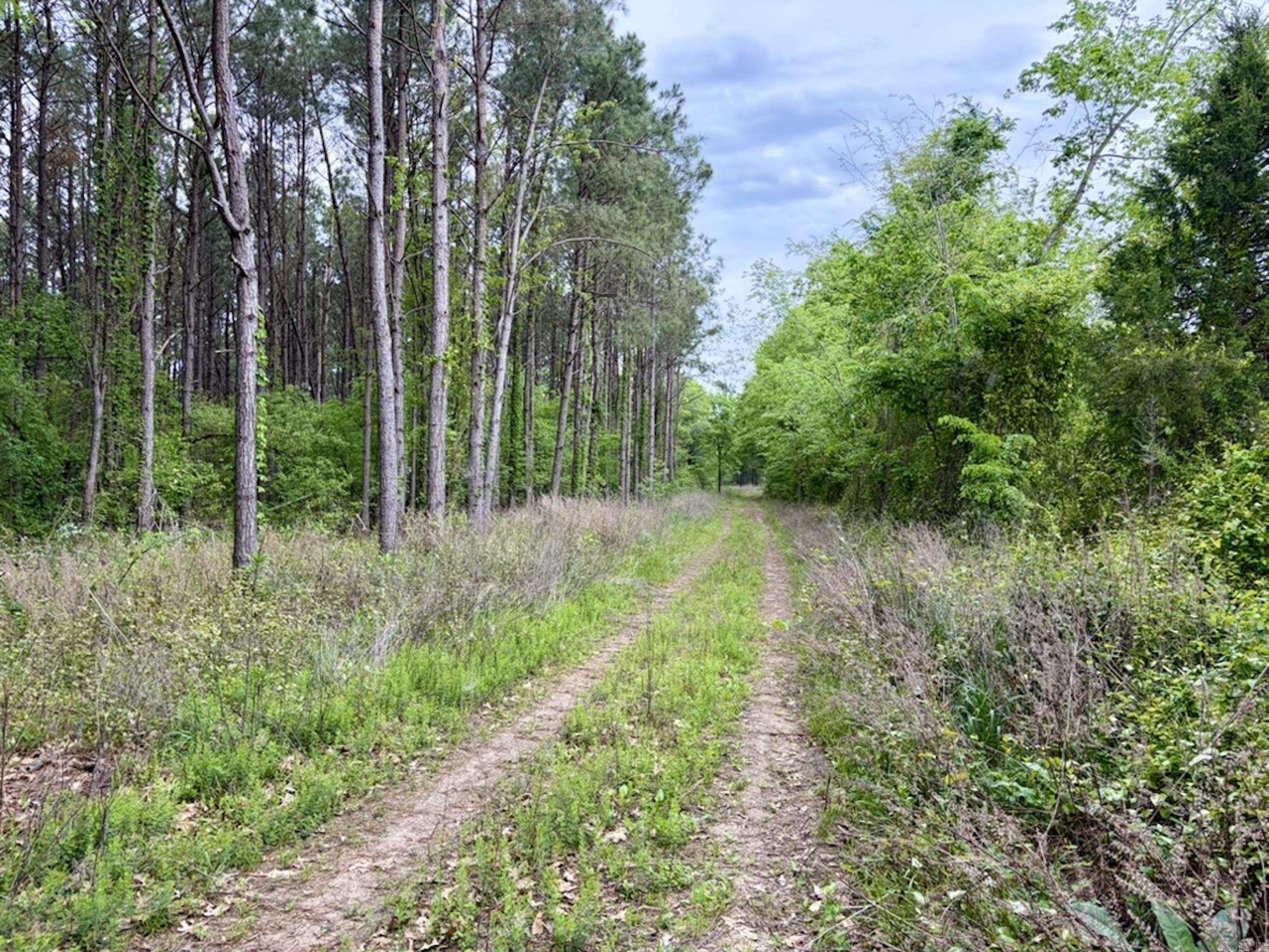 002 Drag Strip Road Property Photo 1