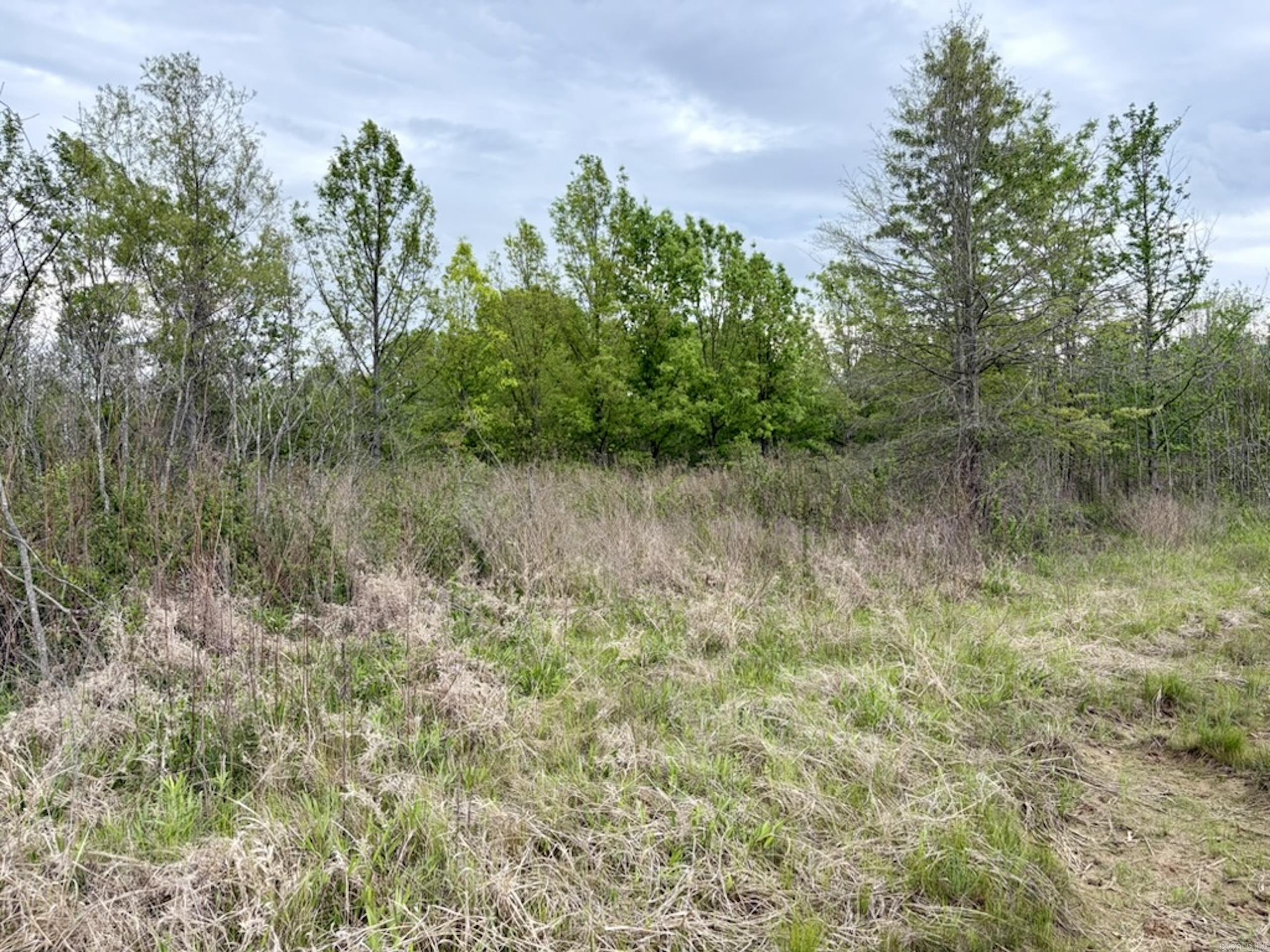 002 Drag Strip Road Property Photo 4