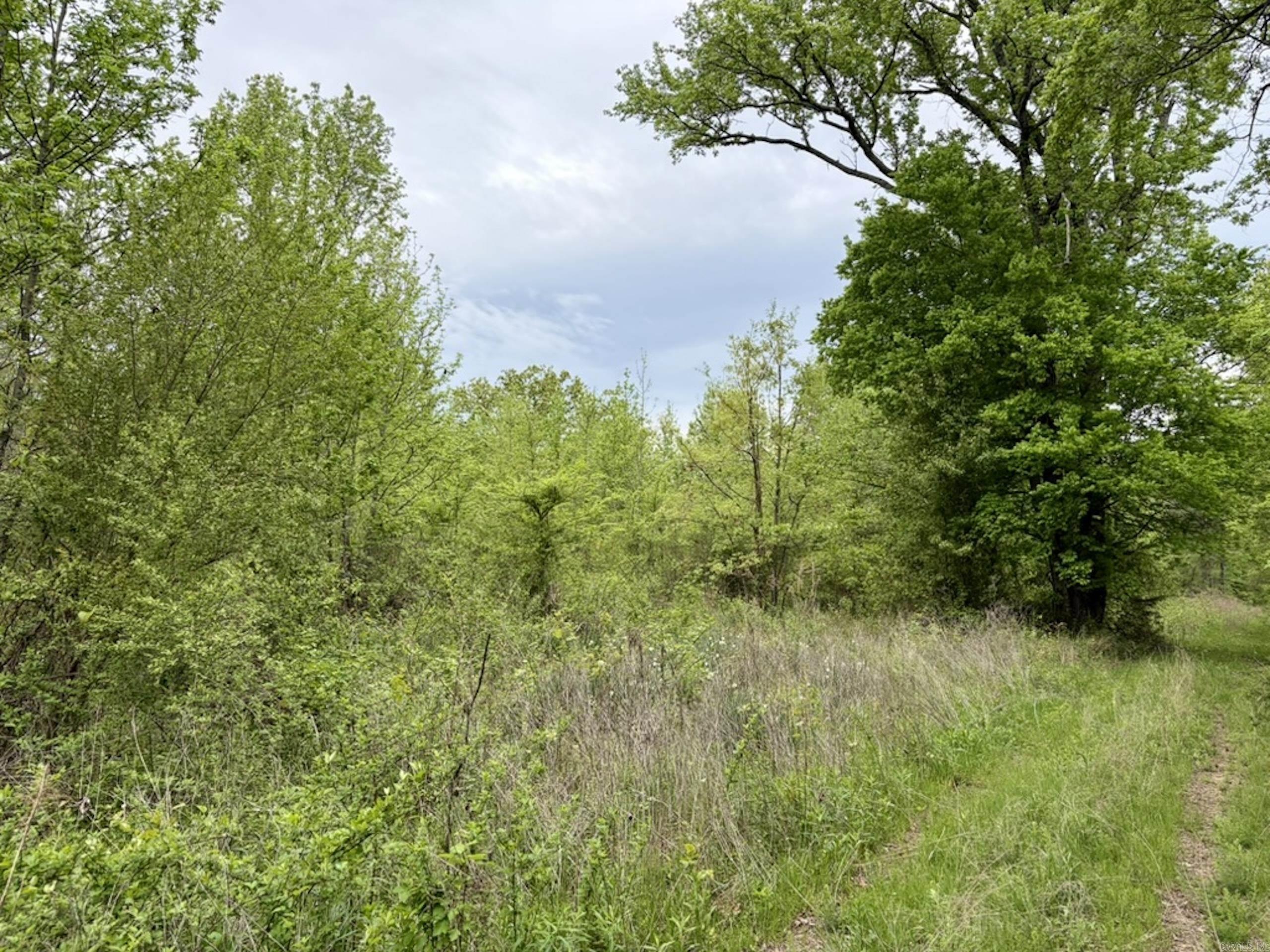 002 Drag Strip Road Property Photo 8