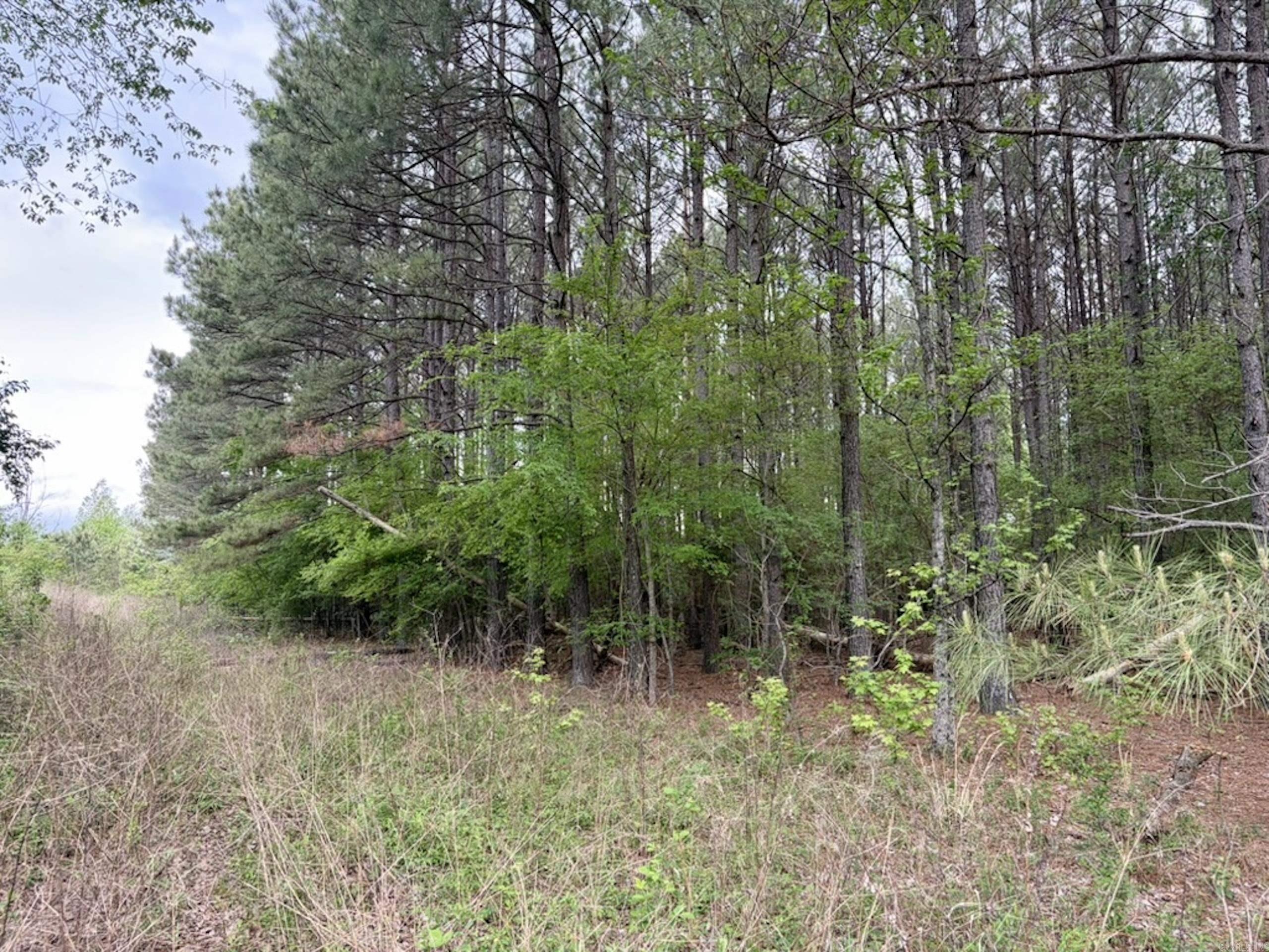 002 Drag Strip Road Property Photo 10
