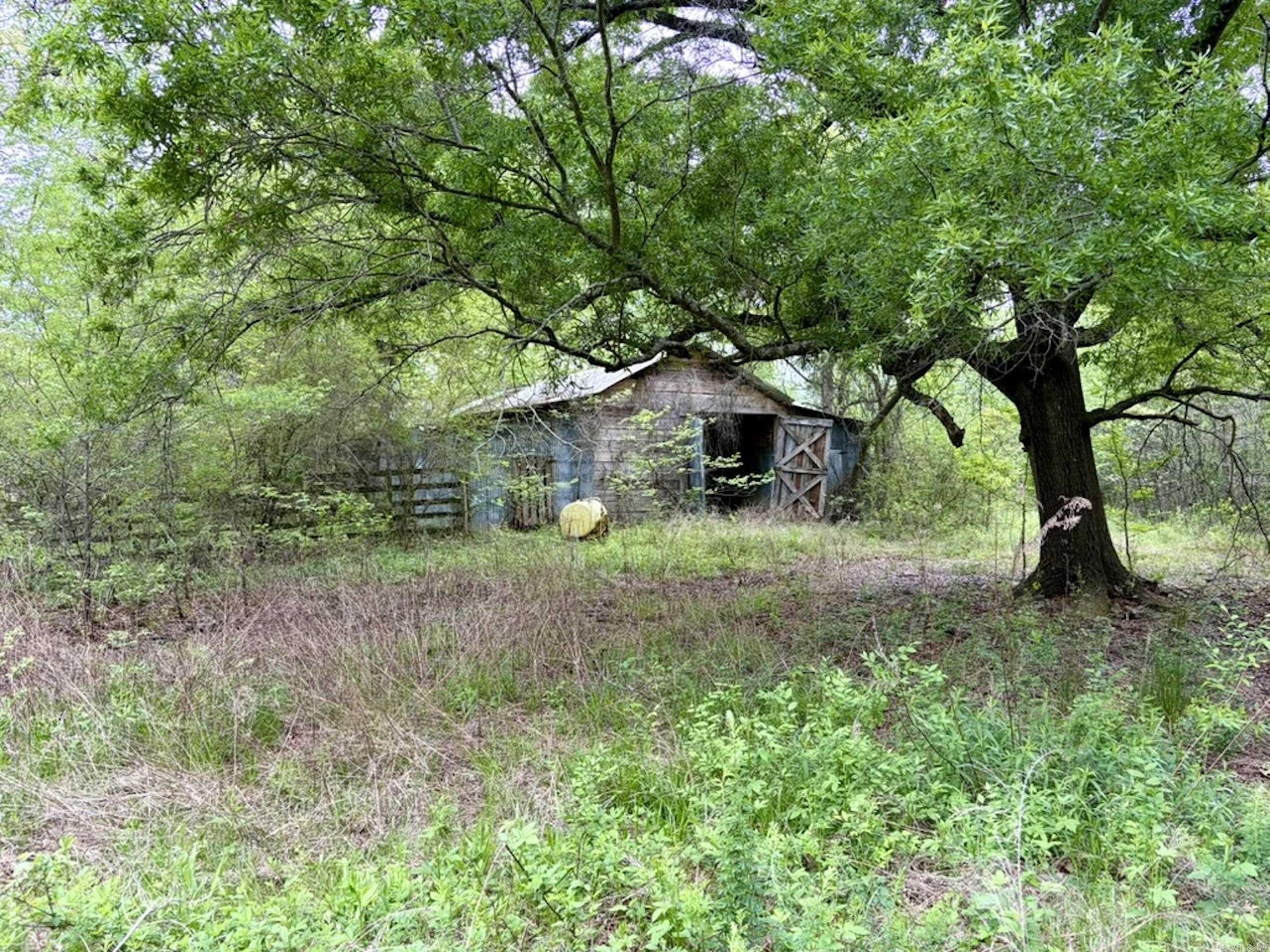 002 Drag Strip Road Property Photo 11