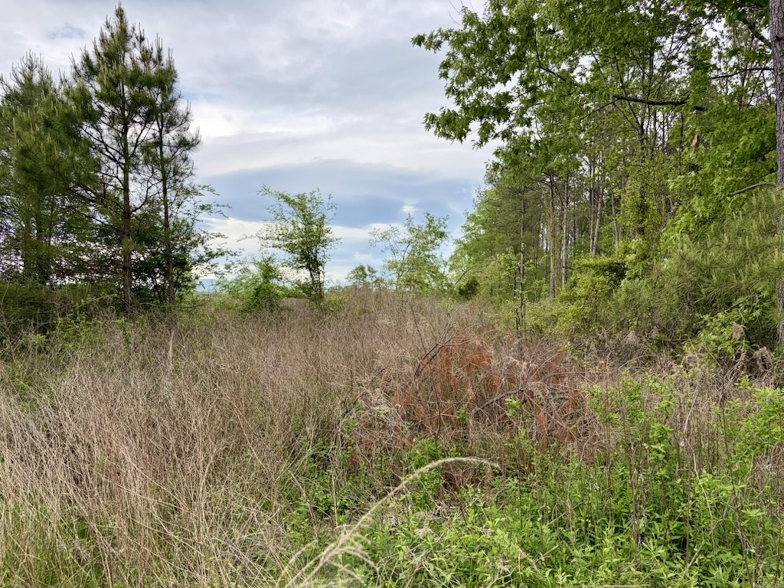 002 Drag Strip Road Property Photo 18