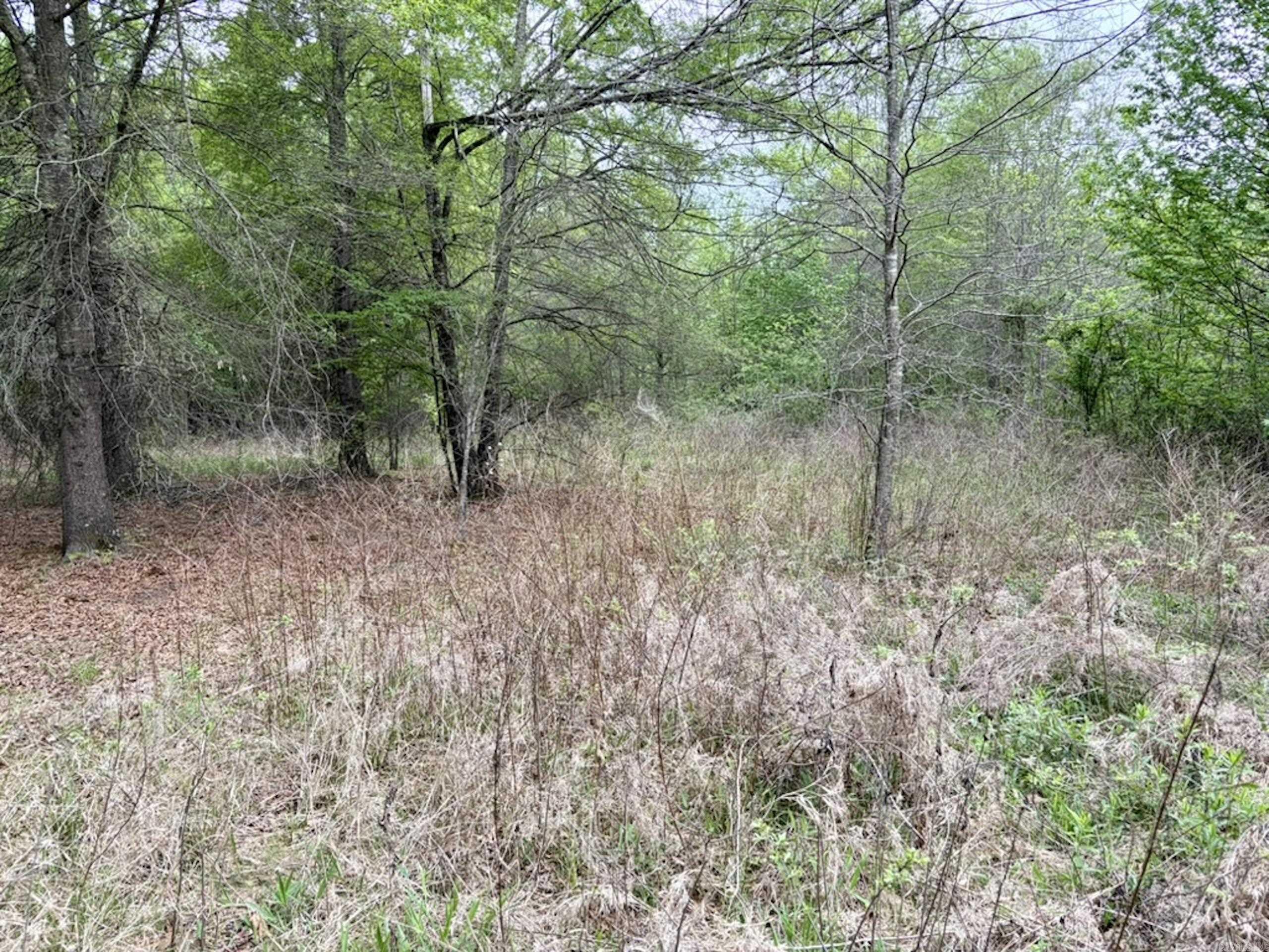 002 Drag Strip Road Property Photo 19