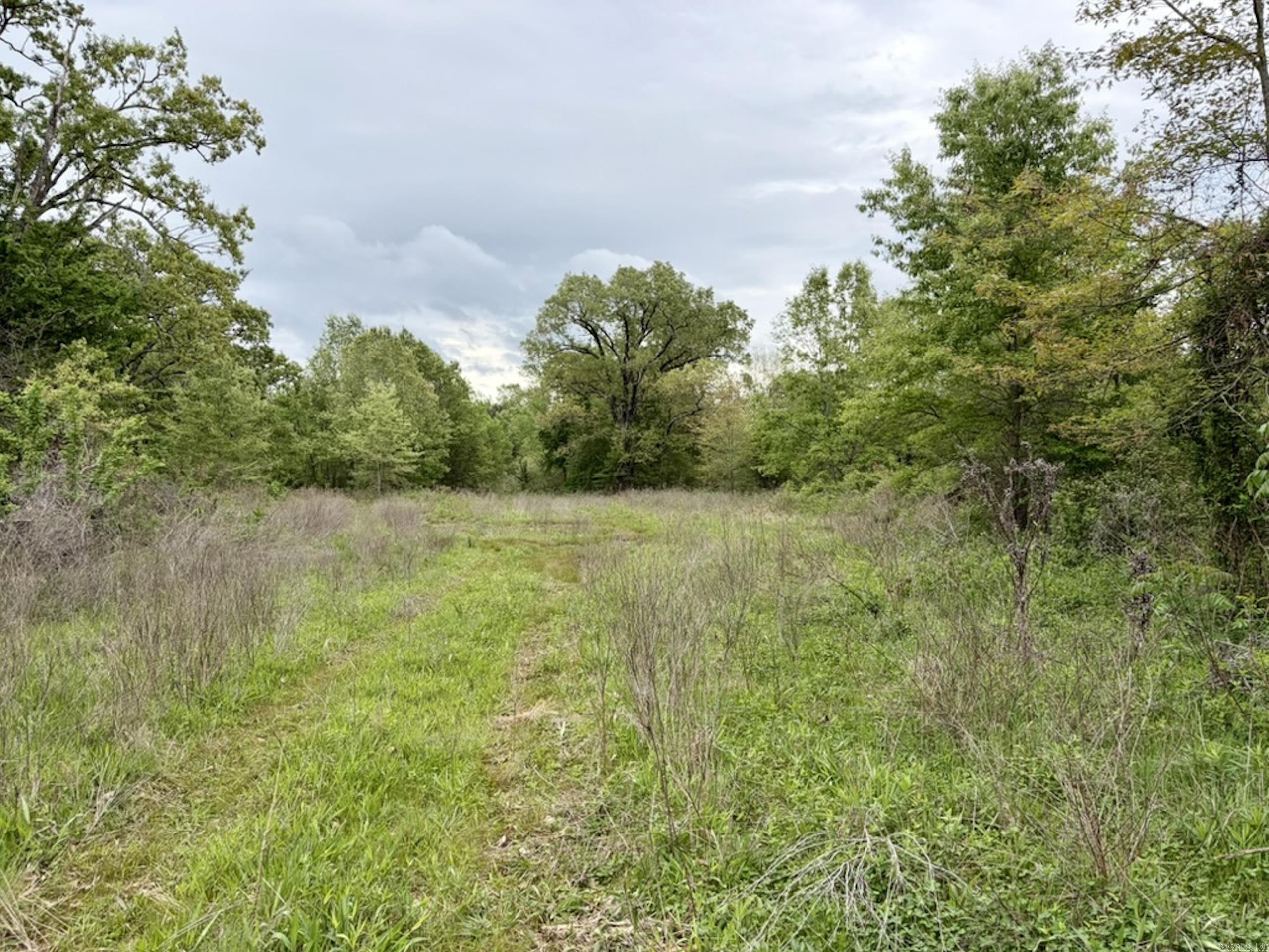 002 Drag Strip Road Property Photo 20