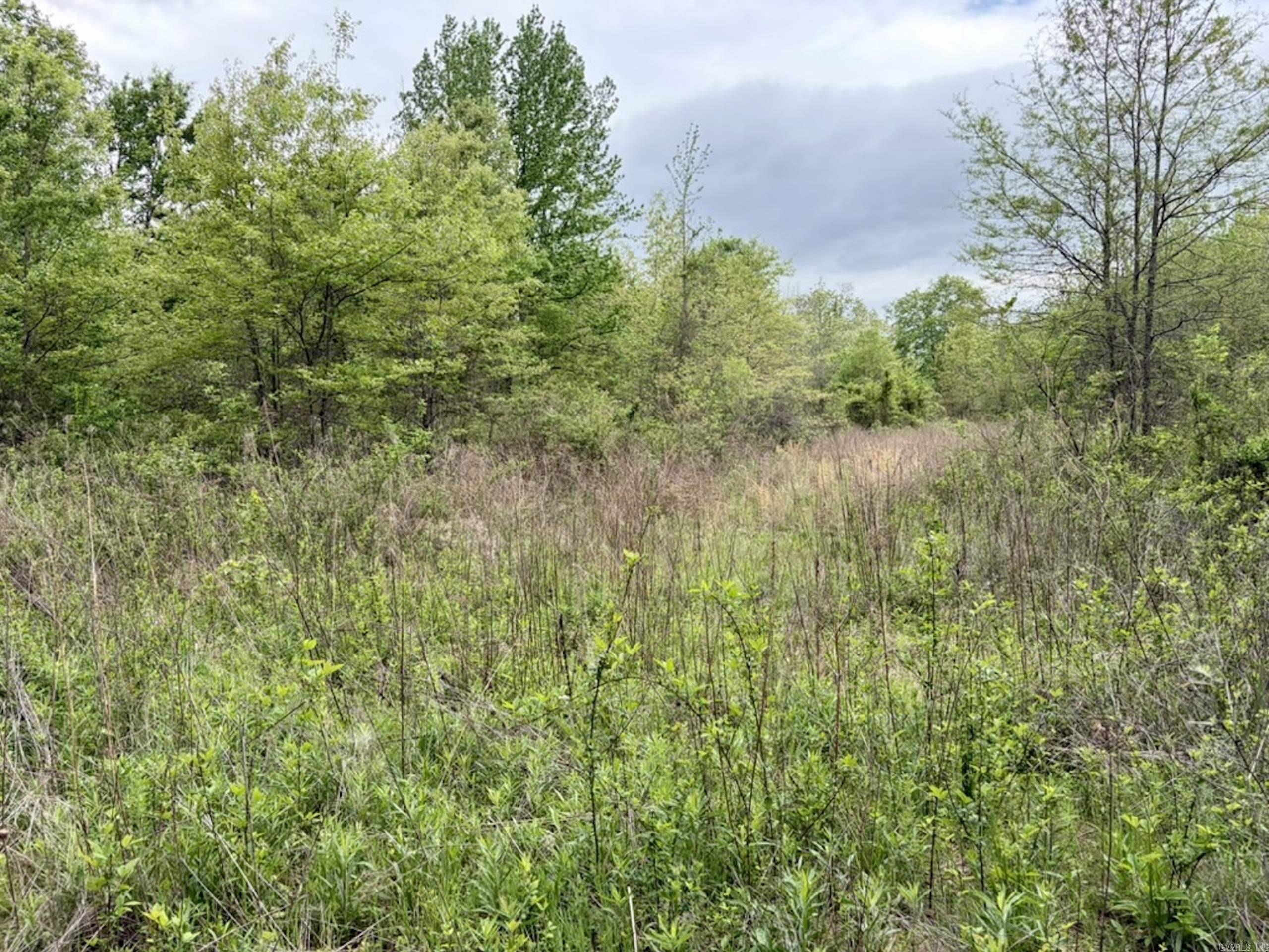 002 Drag Strip Road Property Photo 22