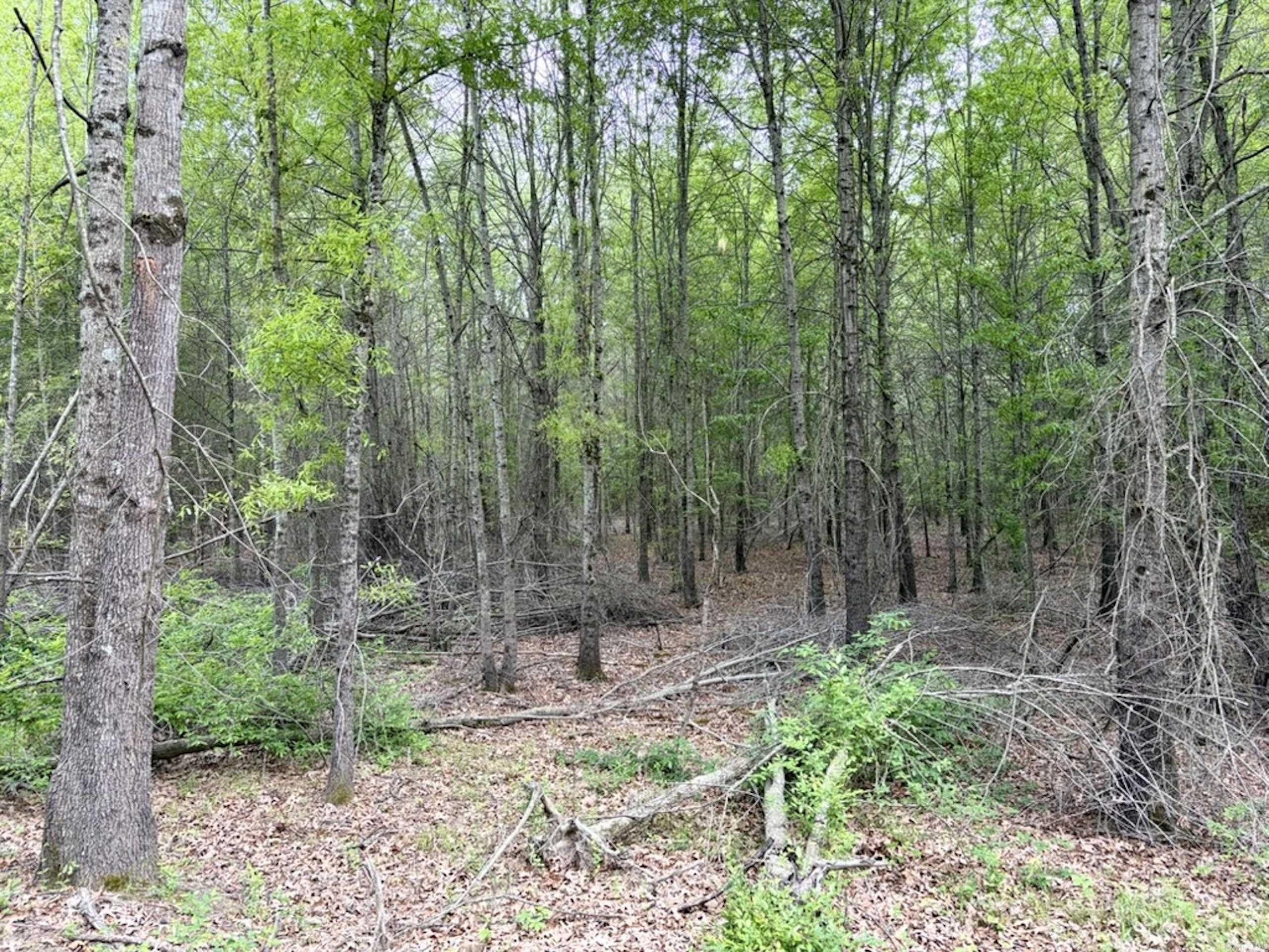 002 Drag Strip Road Property Photo 23
