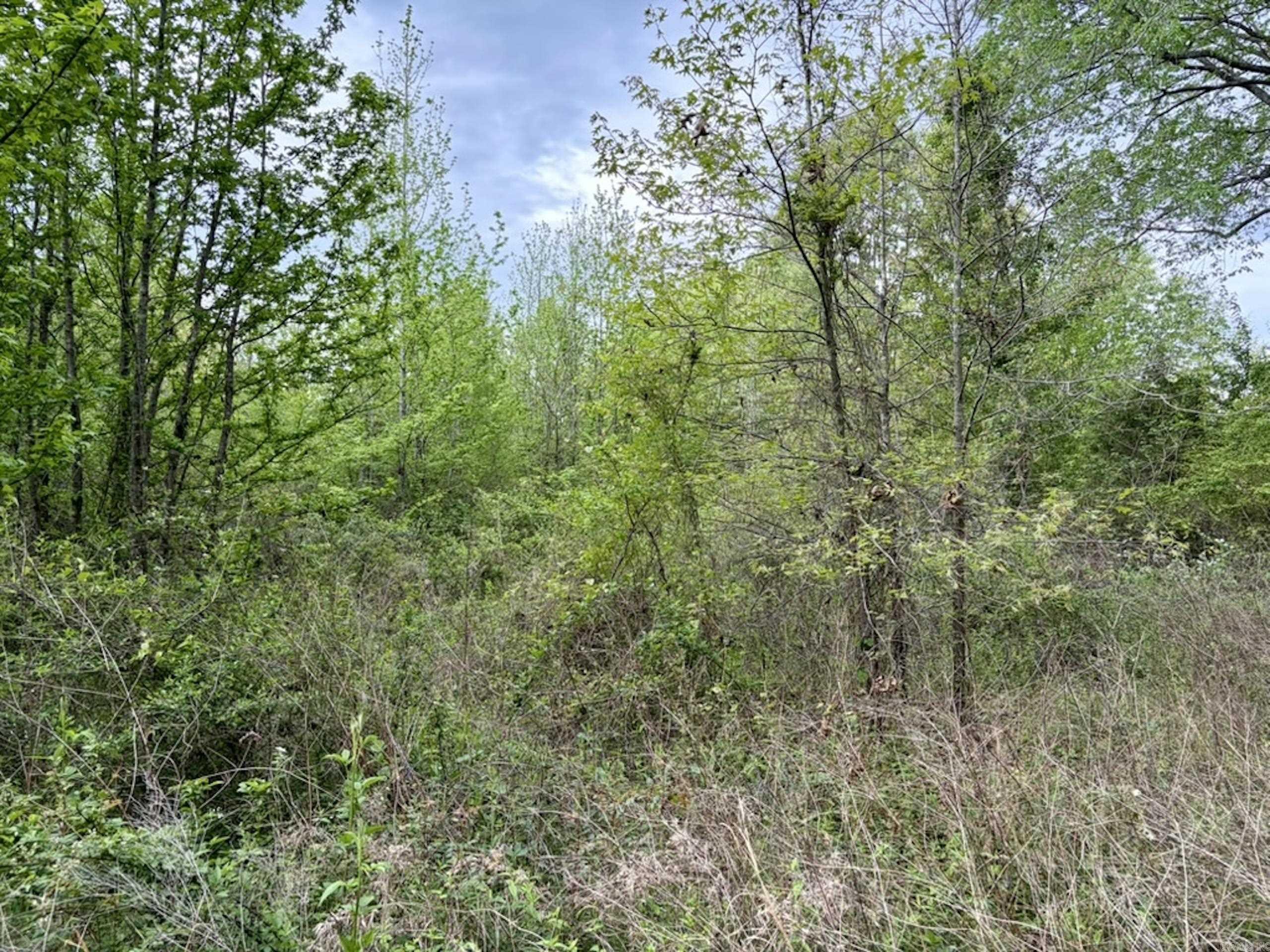 002 Drag Strip Road Property Photo 25